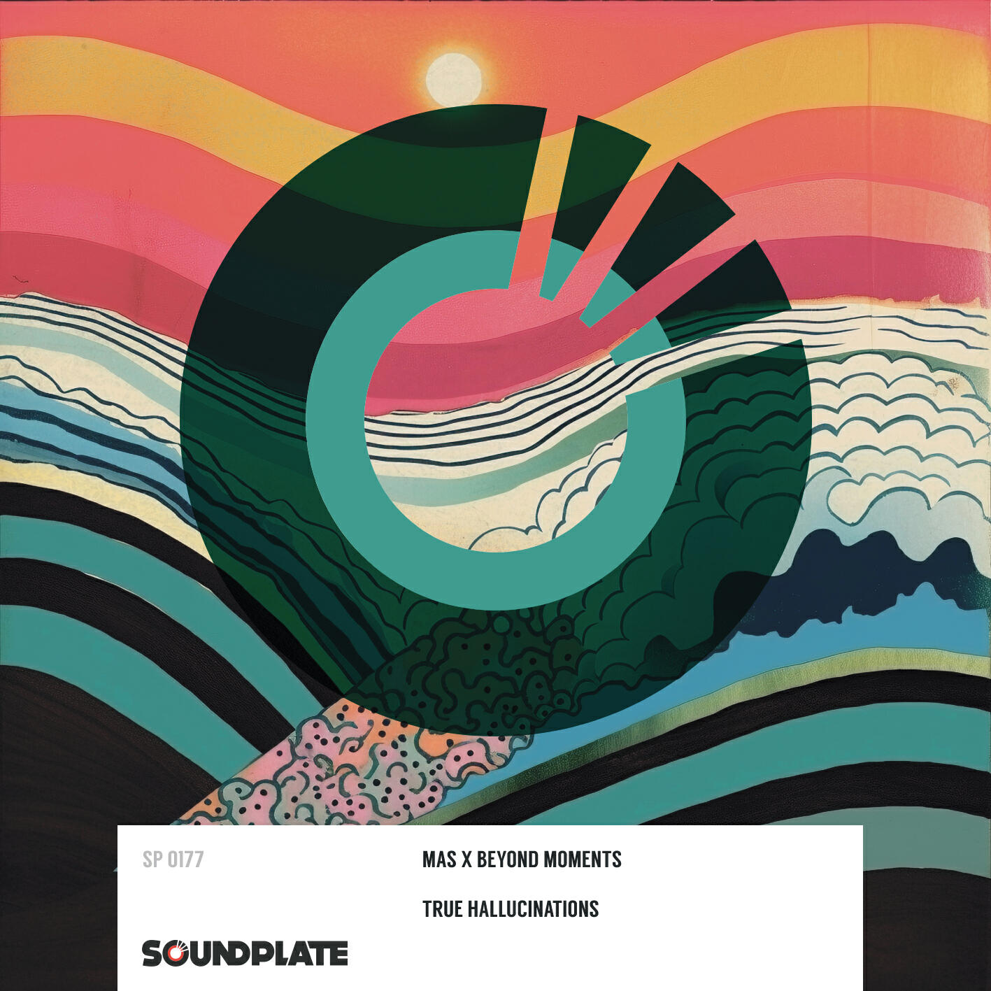 Релиз True Hallucinations