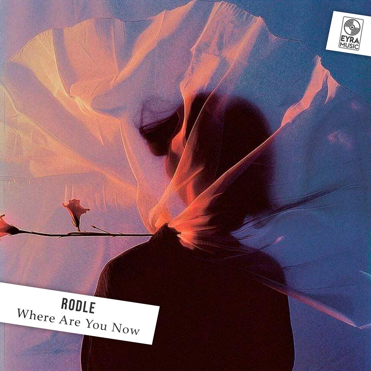 Релиз Where Are You Now