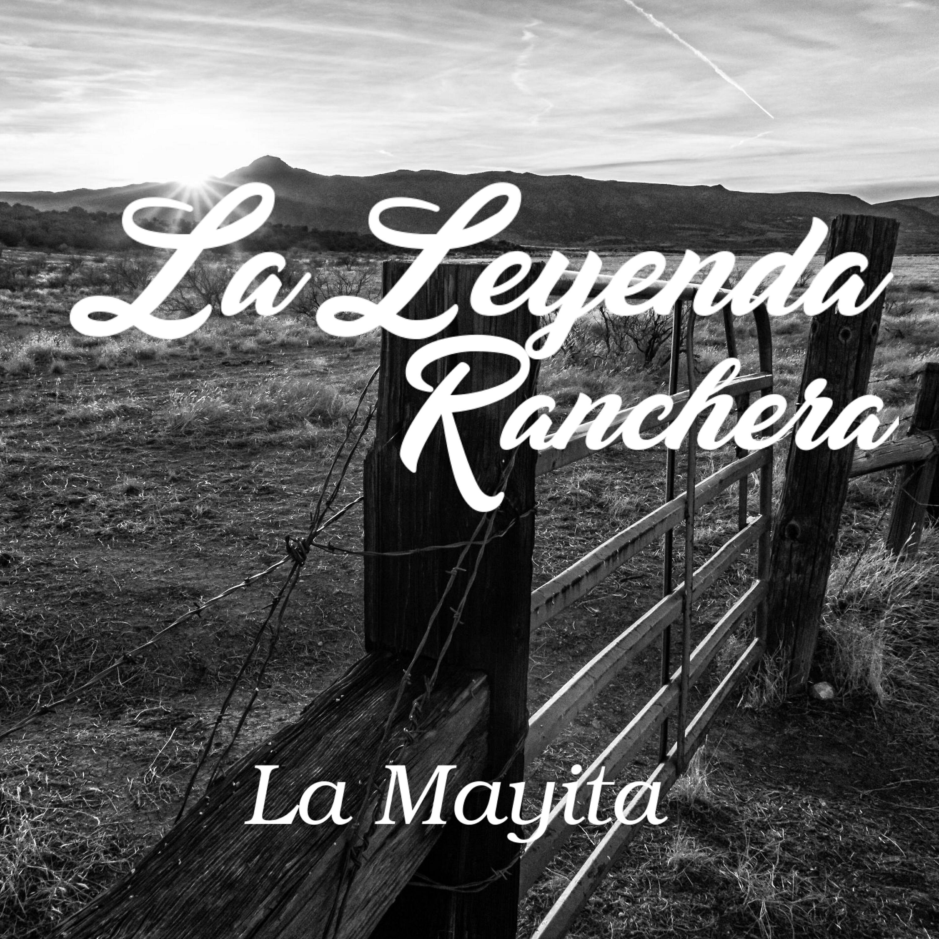 Постер альбома La Mayita