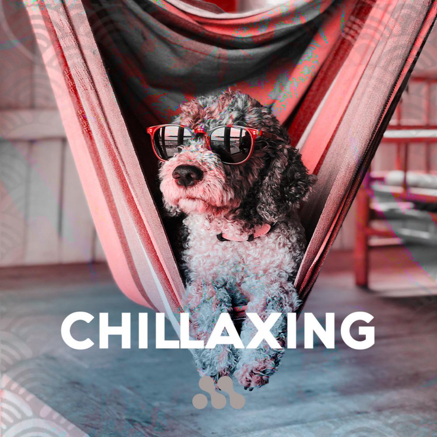 Релиз Chillaxing