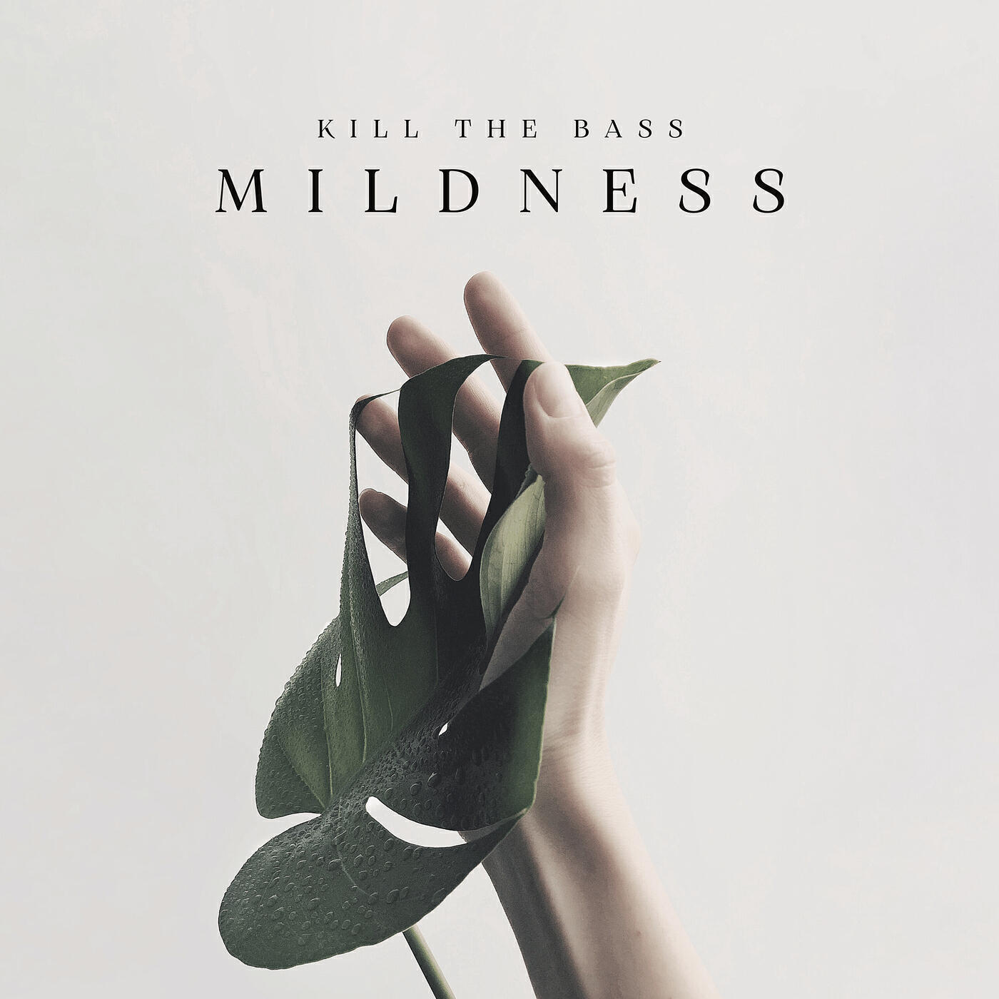 Релиз Mildness