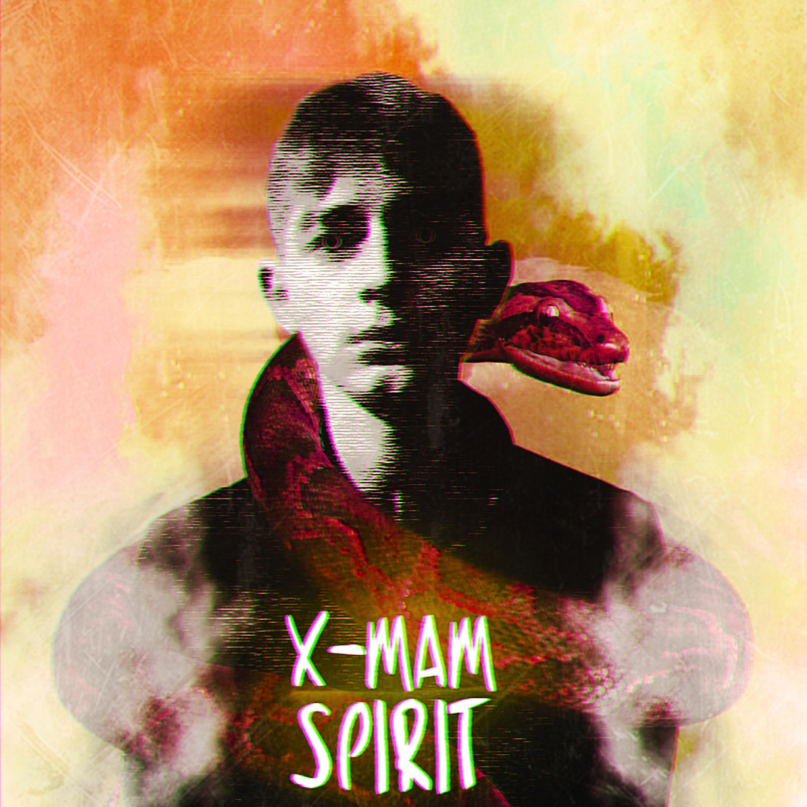 Релиз Spirit