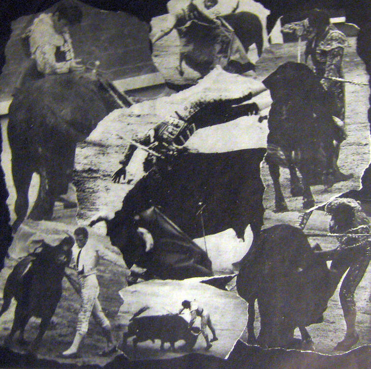The Toreros