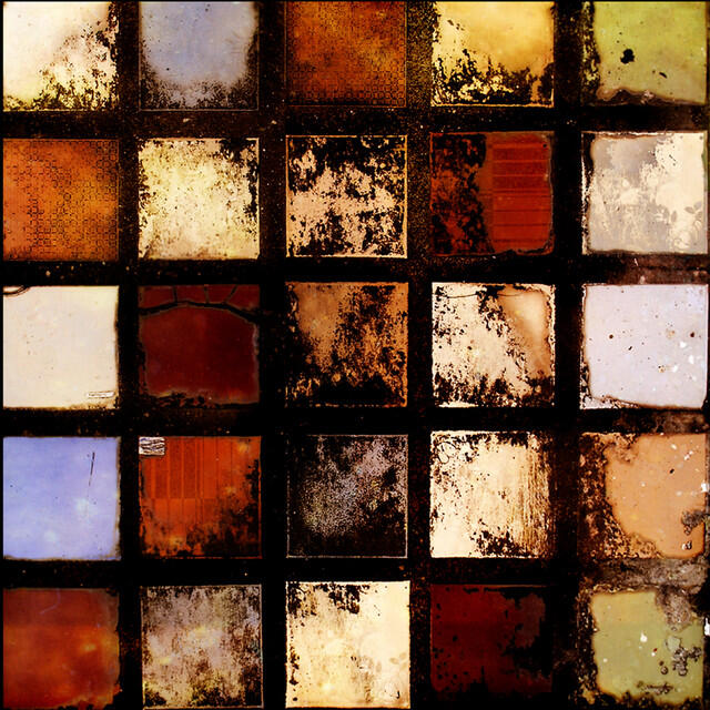 Релиз Autoimmune