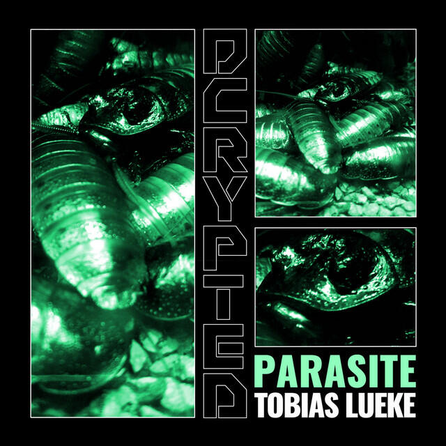 Tobias Lueke