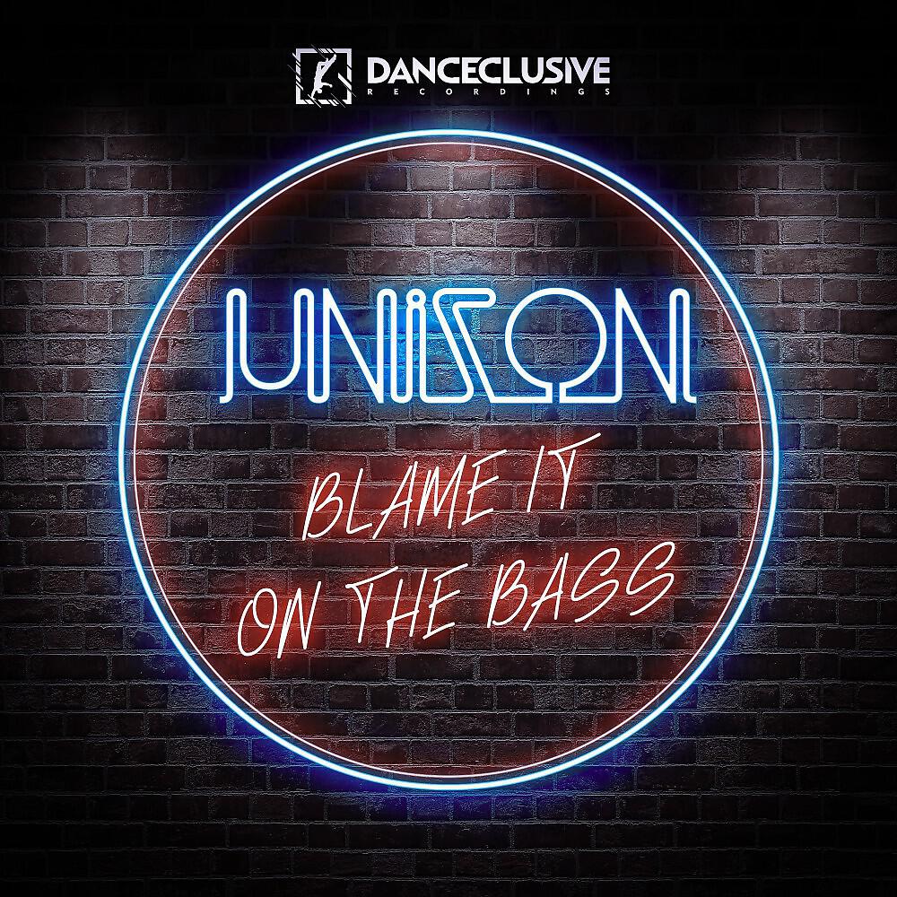 Релиз Blame It on the Bass