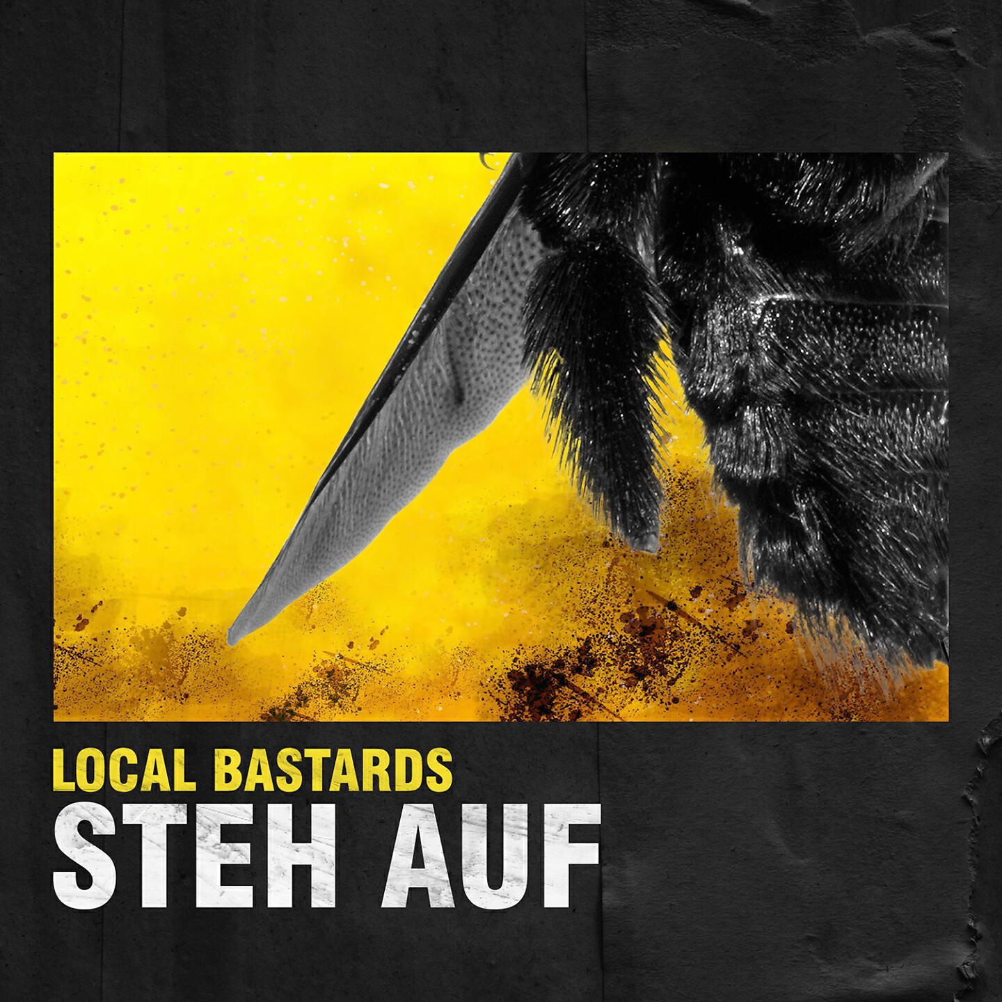 Релиз Steh auf