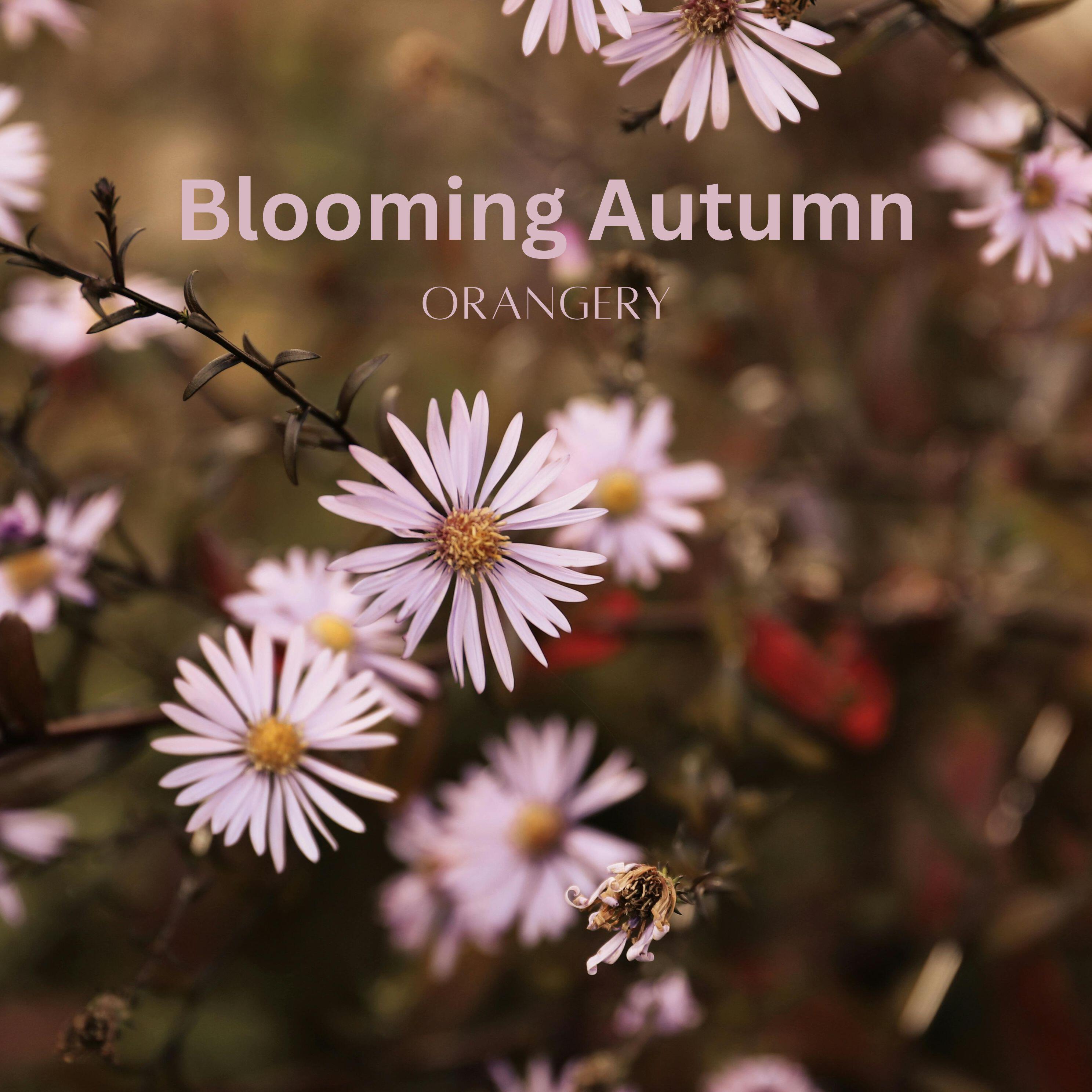 Релиз Blooming Autumn