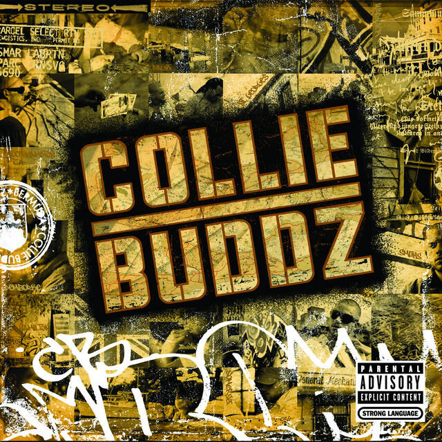 Релиз Collie Buddz