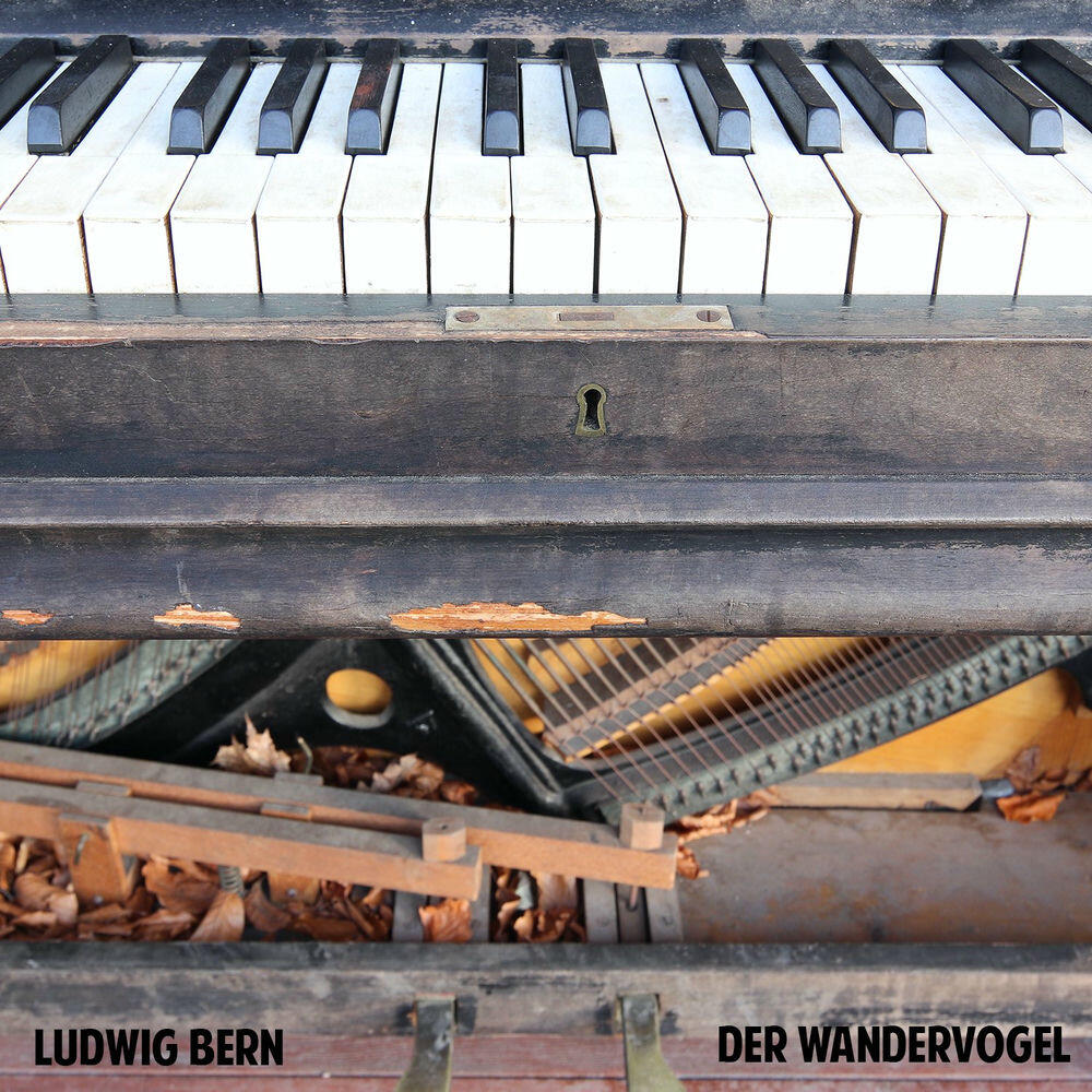 Релиз Der Wandervogel