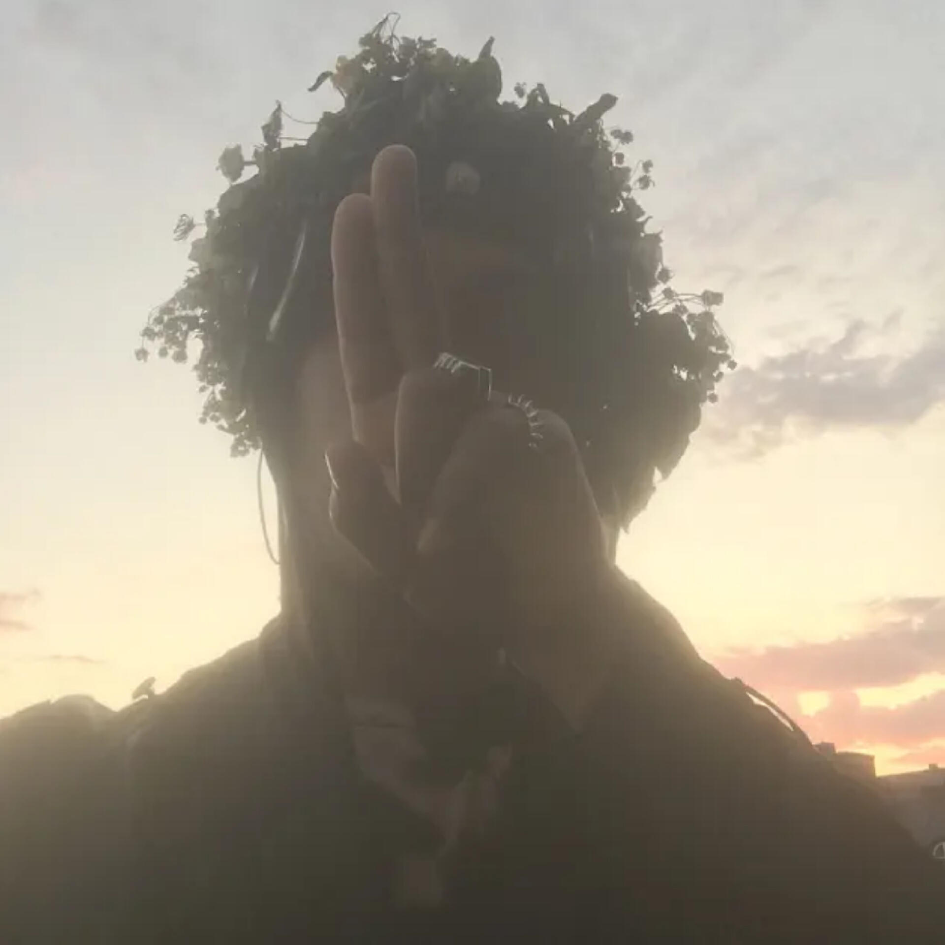 Релиз Pollen