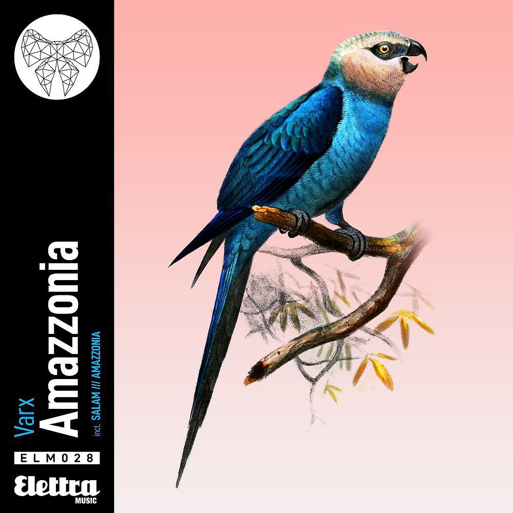 Релиз Amazzonia
