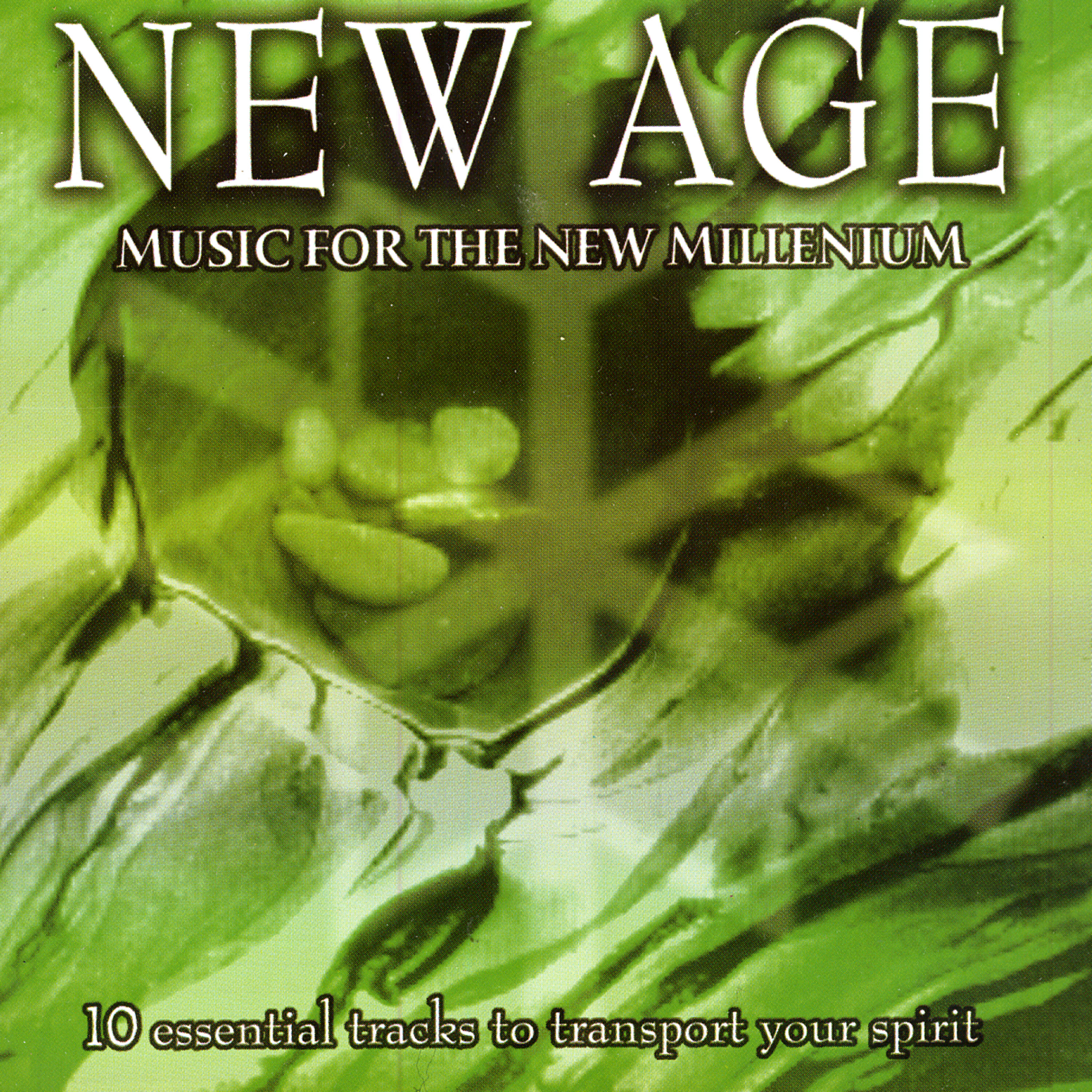 Релиз New Age - Music for the New Millenium