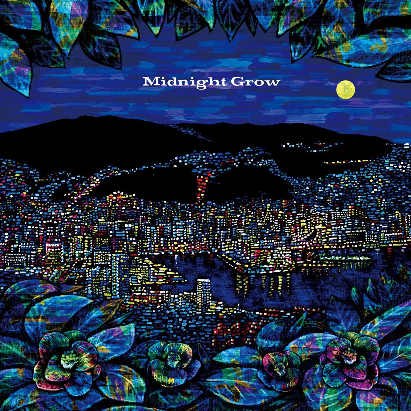 Релиз Midnight Grow