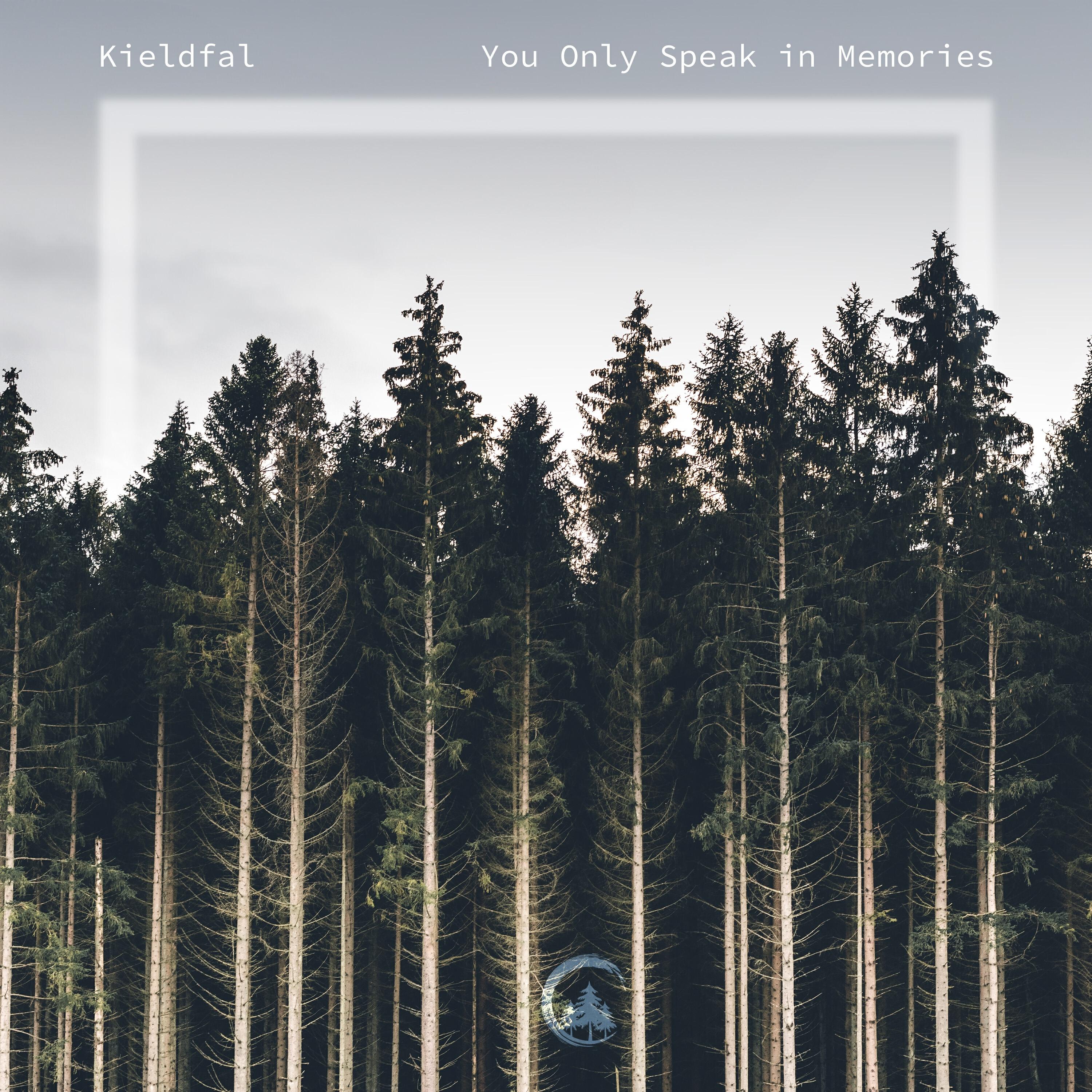 Релиз You Only Speak in Memories