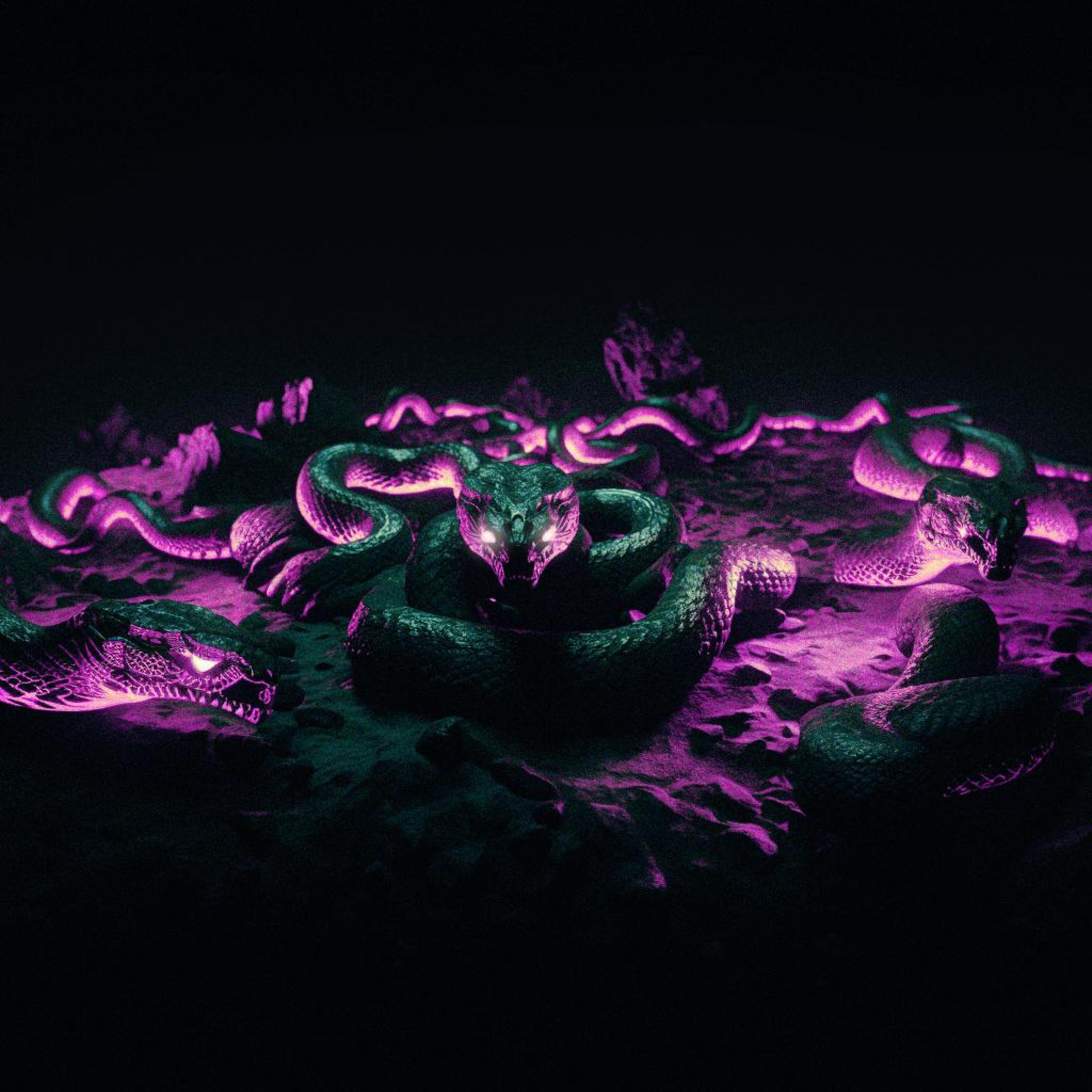 Релиз SNAKE