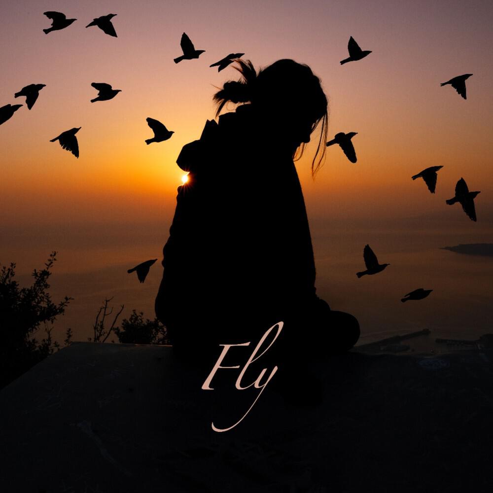 Релиз Fly
