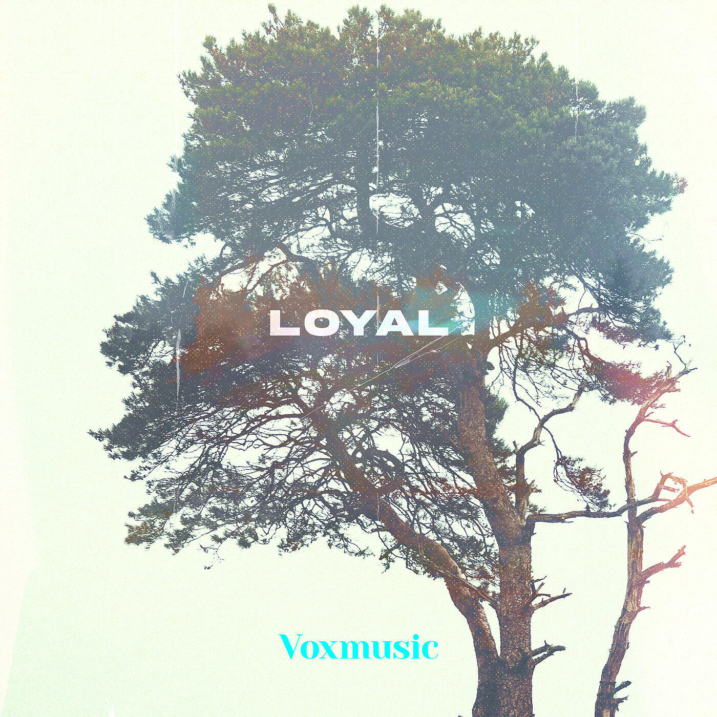Релиз Loyal