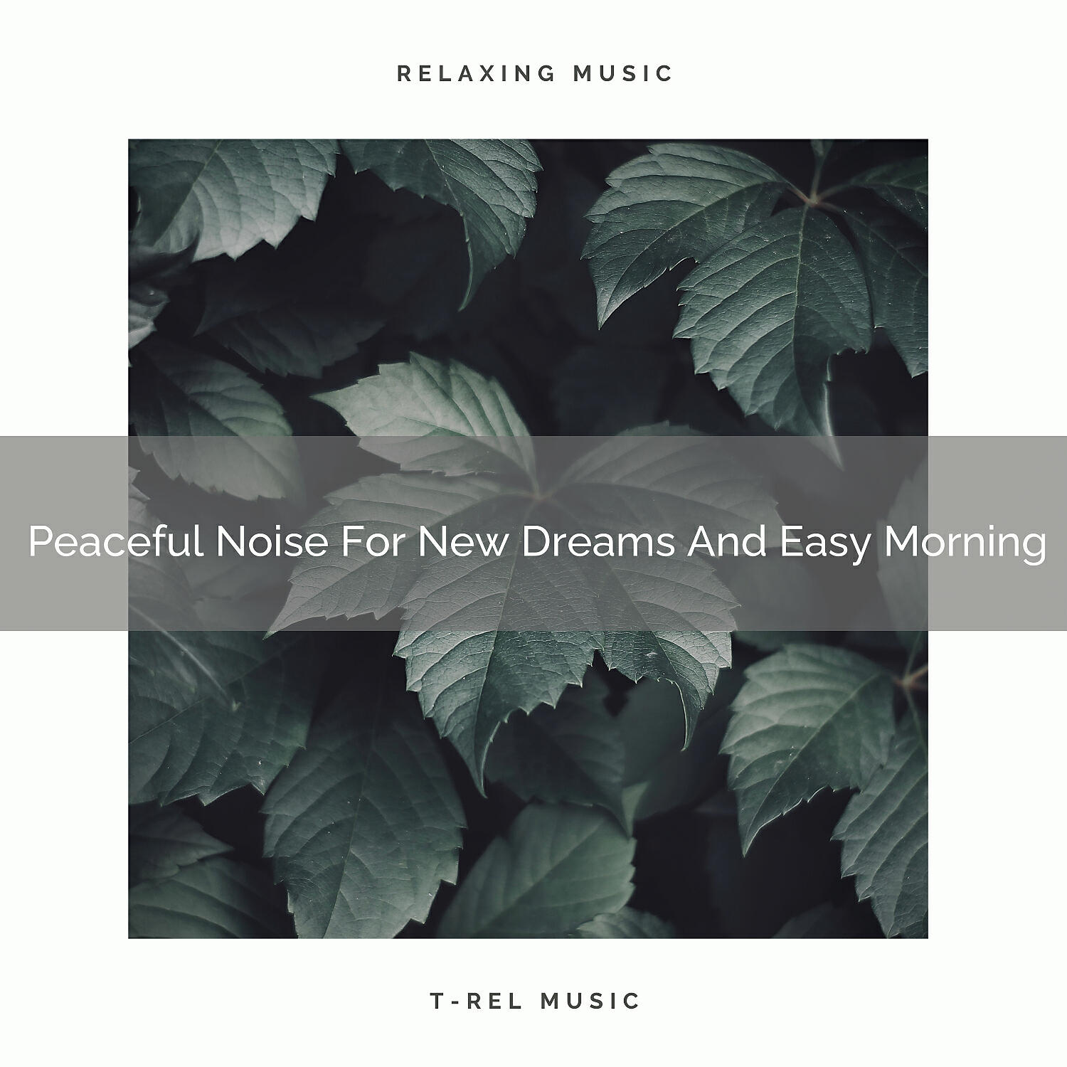Релиз Peaceful Noise For New Dreams And Easy Morning