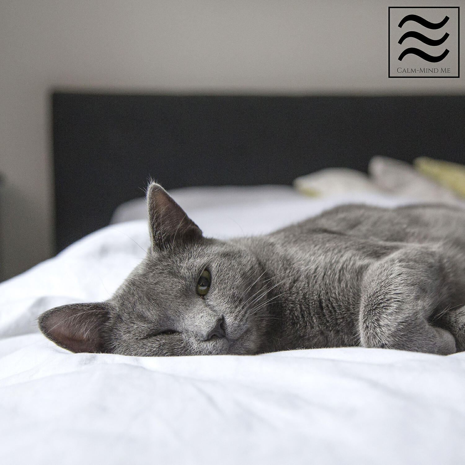Релиз Relaxing Noises for Sleeping Babies