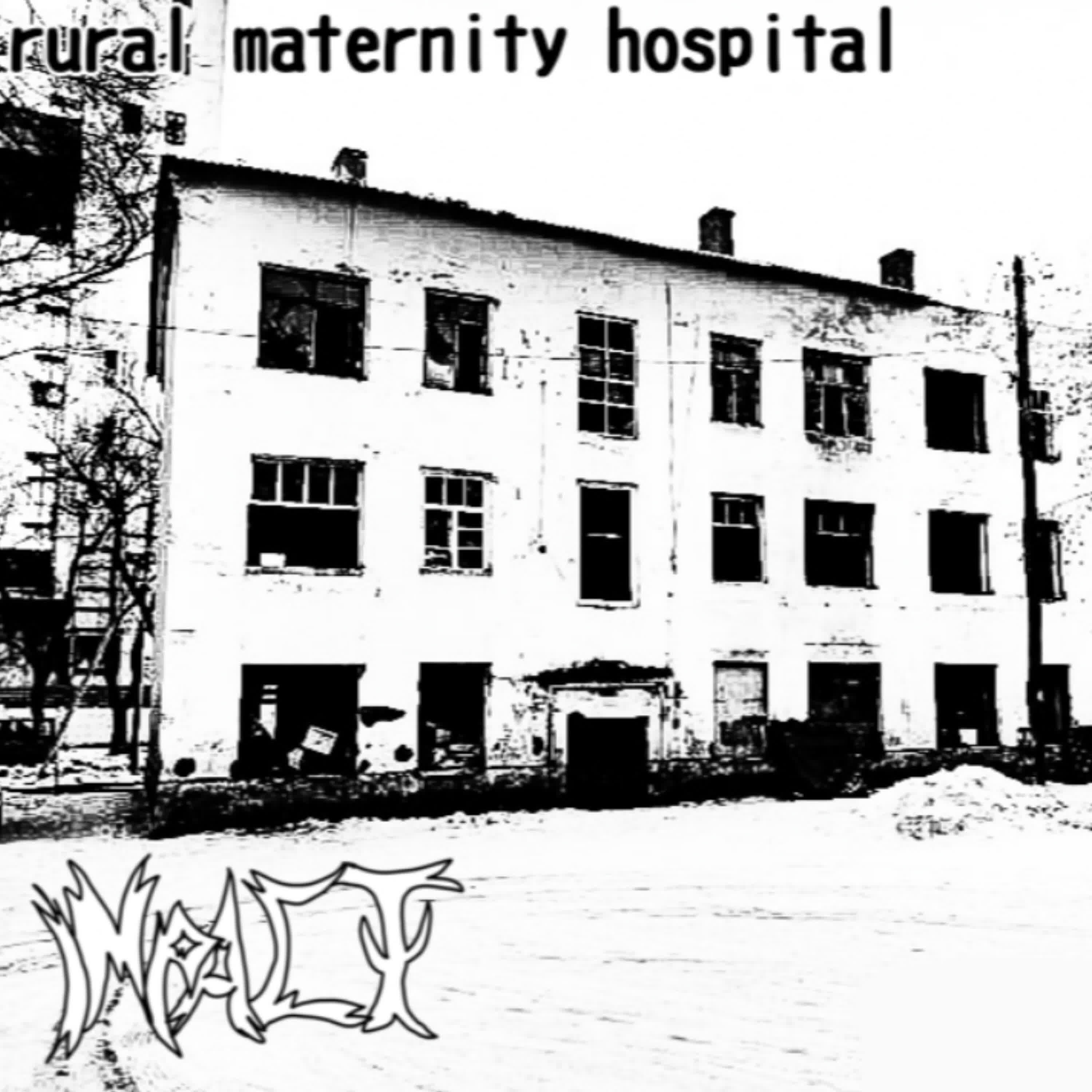 Релиз rural maternity hospital