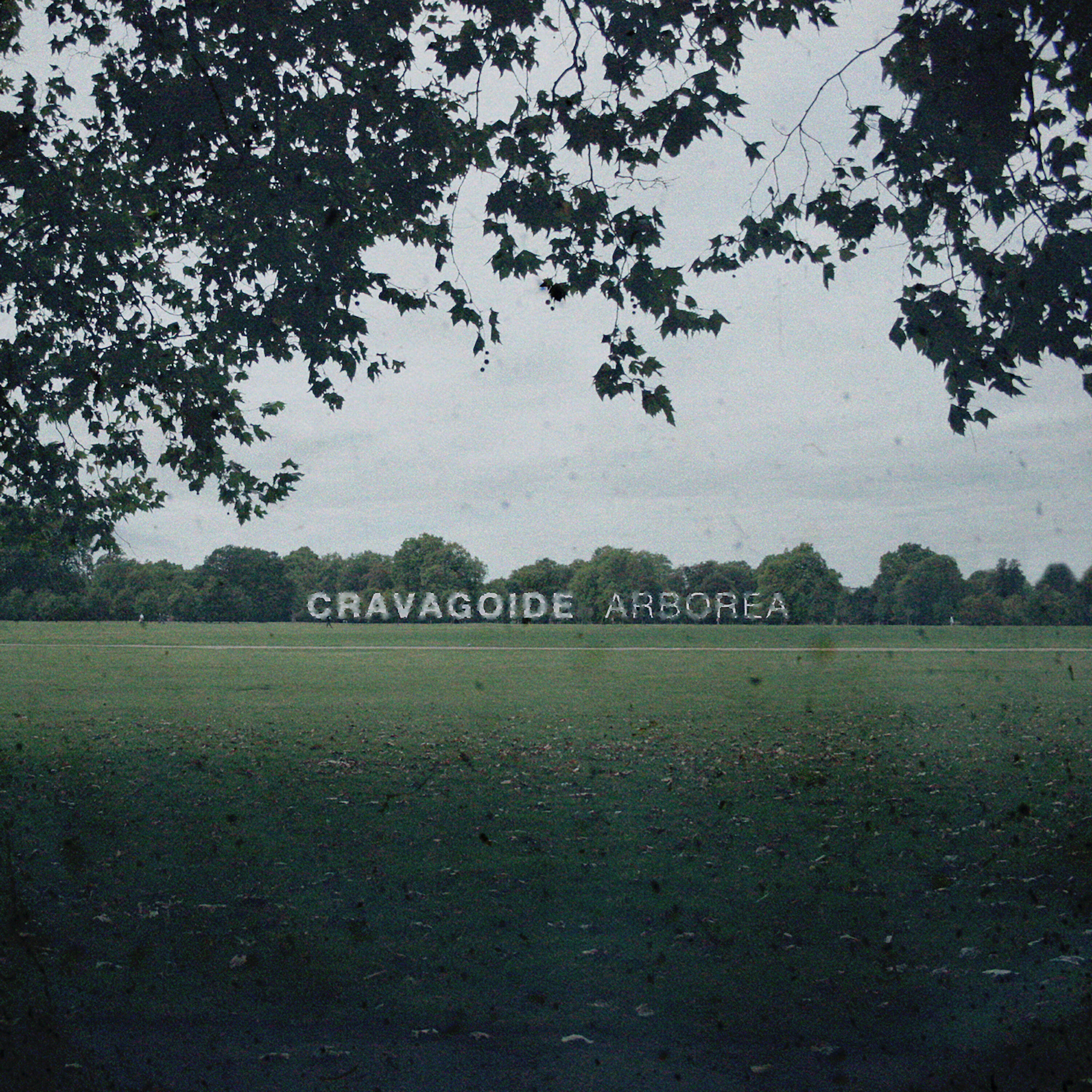 Cravagoide