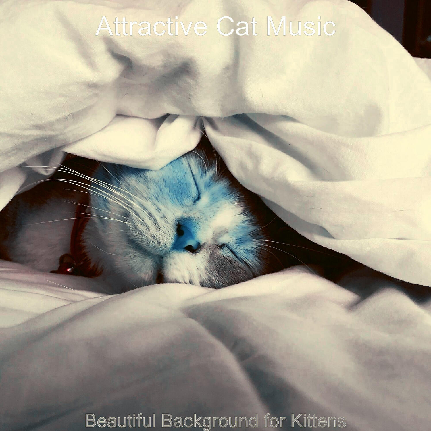 Релиз Beautiful Background for Kittens