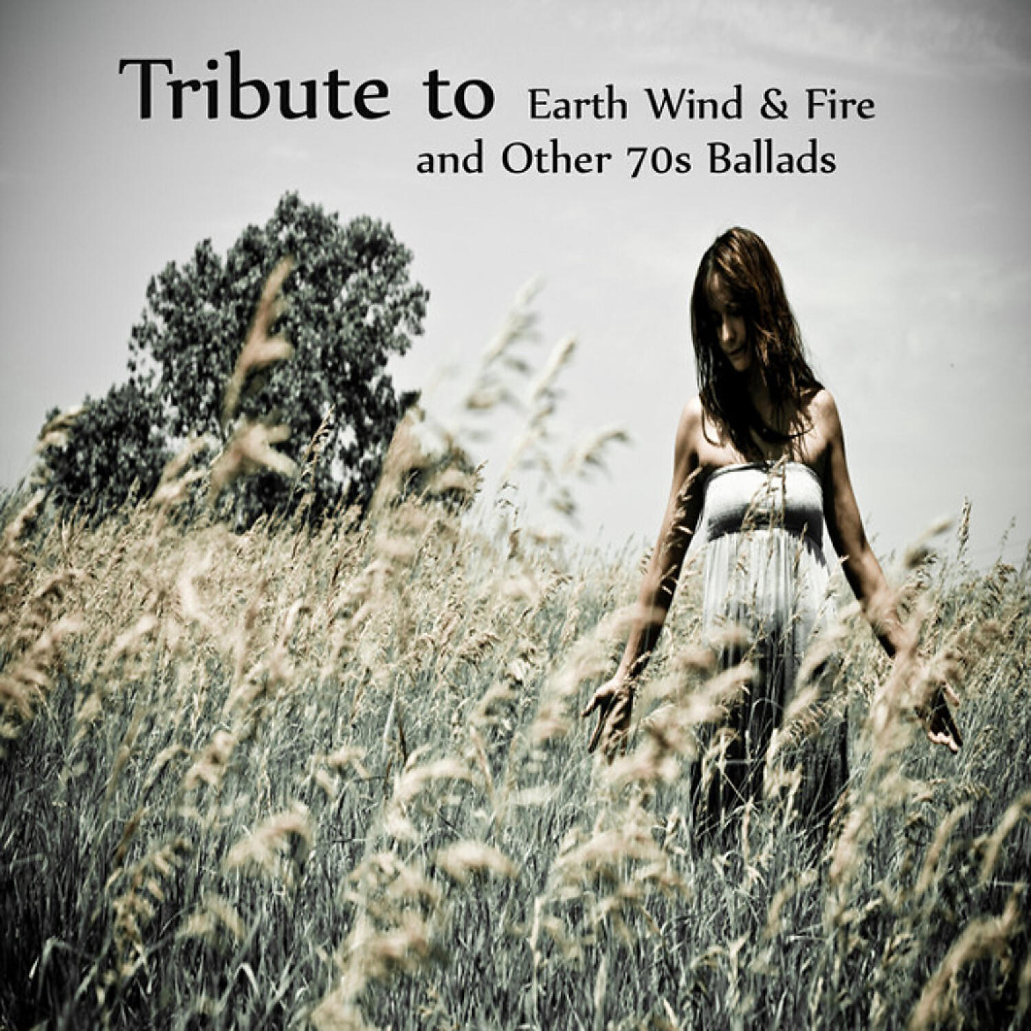 Релиз A Tribute to Earth Wind and Fire and Other 70s Ballads