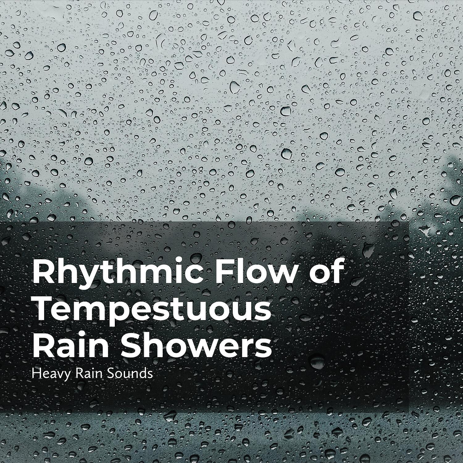 Релиз Rhythmic Flow of Tempestuous Rain Showers