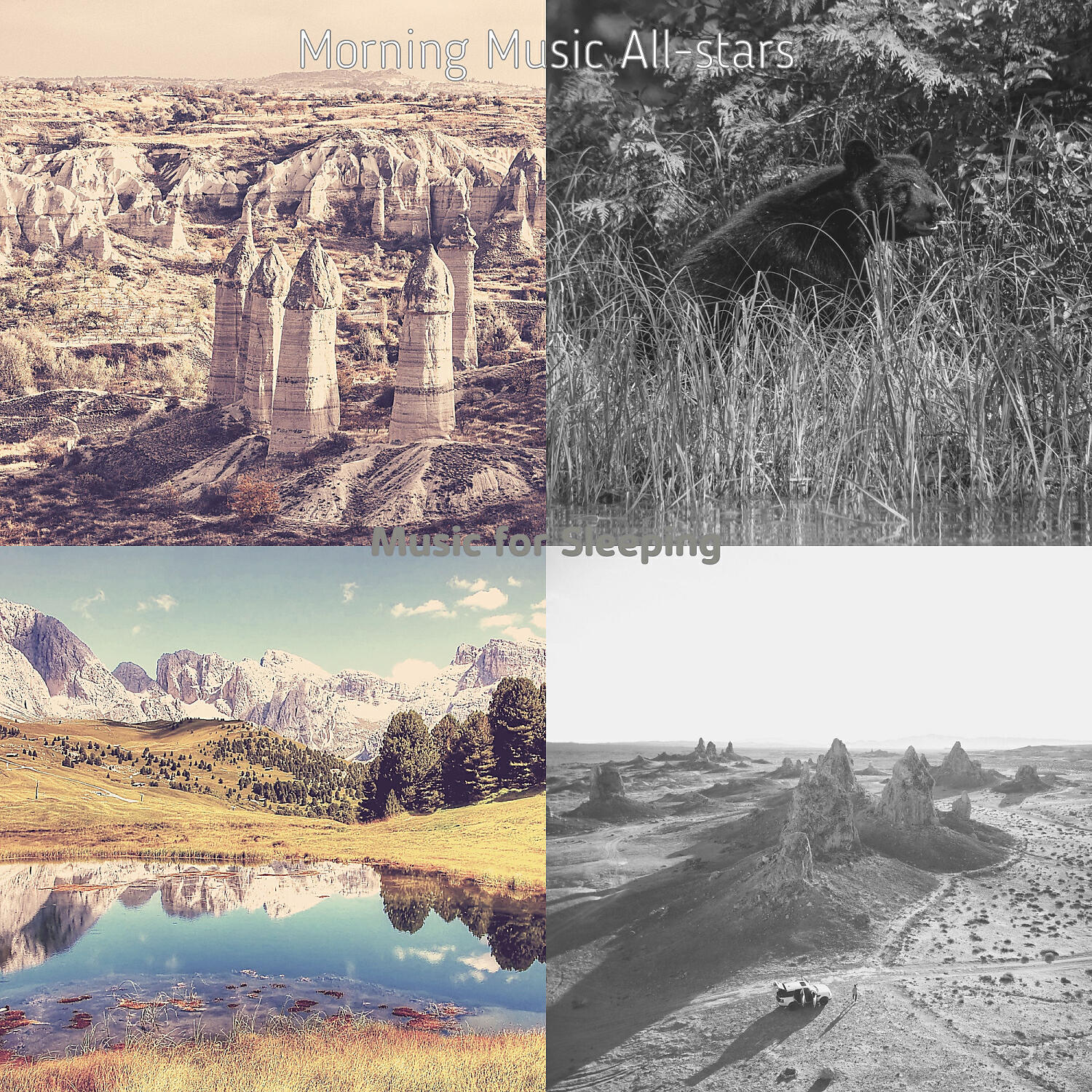 Релиз Music for Sleeping