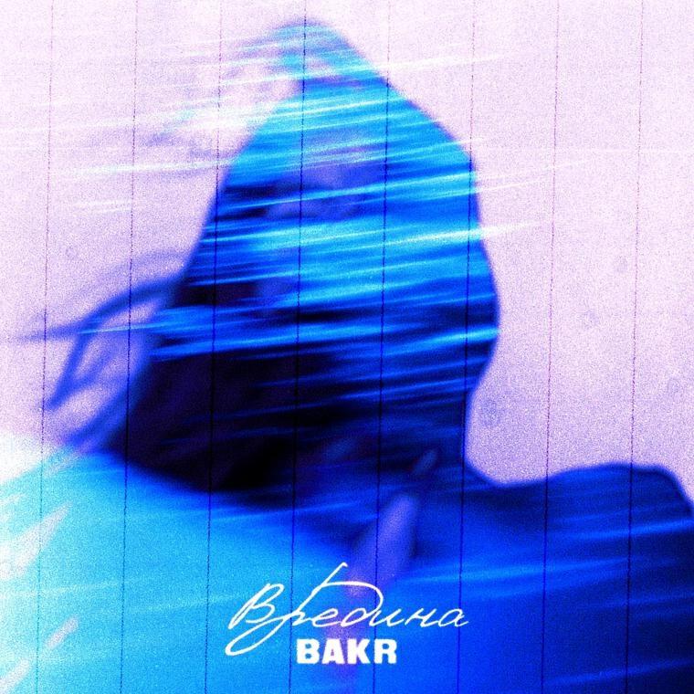 Bakr