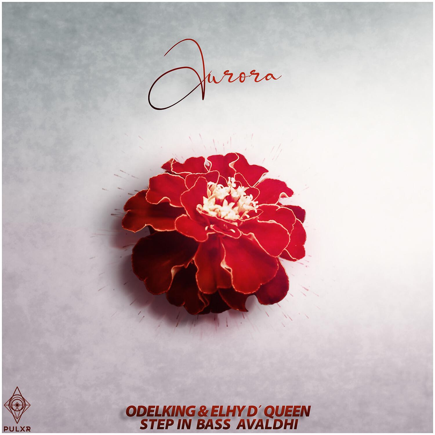 Elhy D'QUEEN