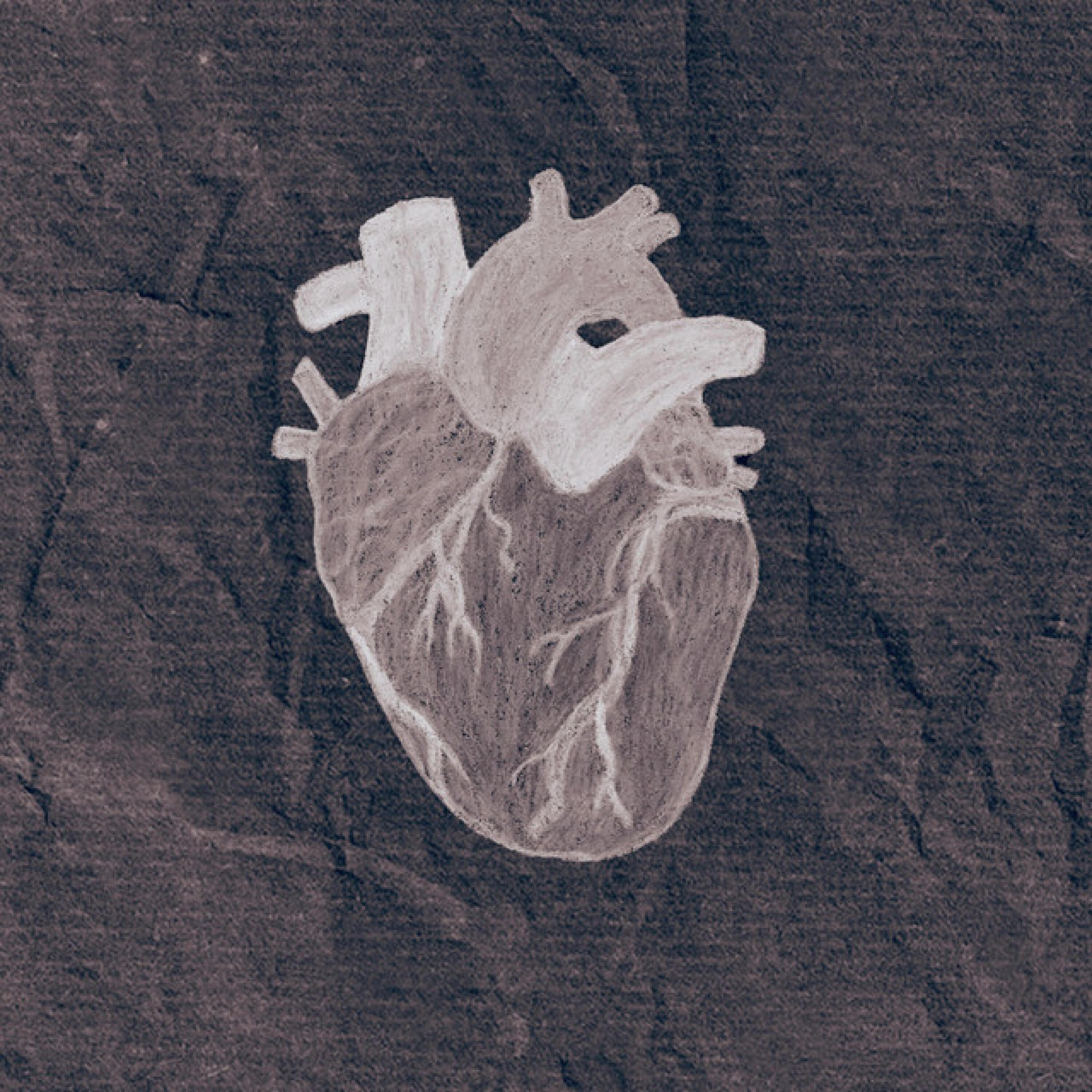 Релиз Silicon Heart