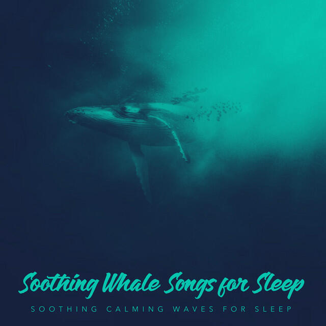 Релиз Soothing Whale Songs for Sleep