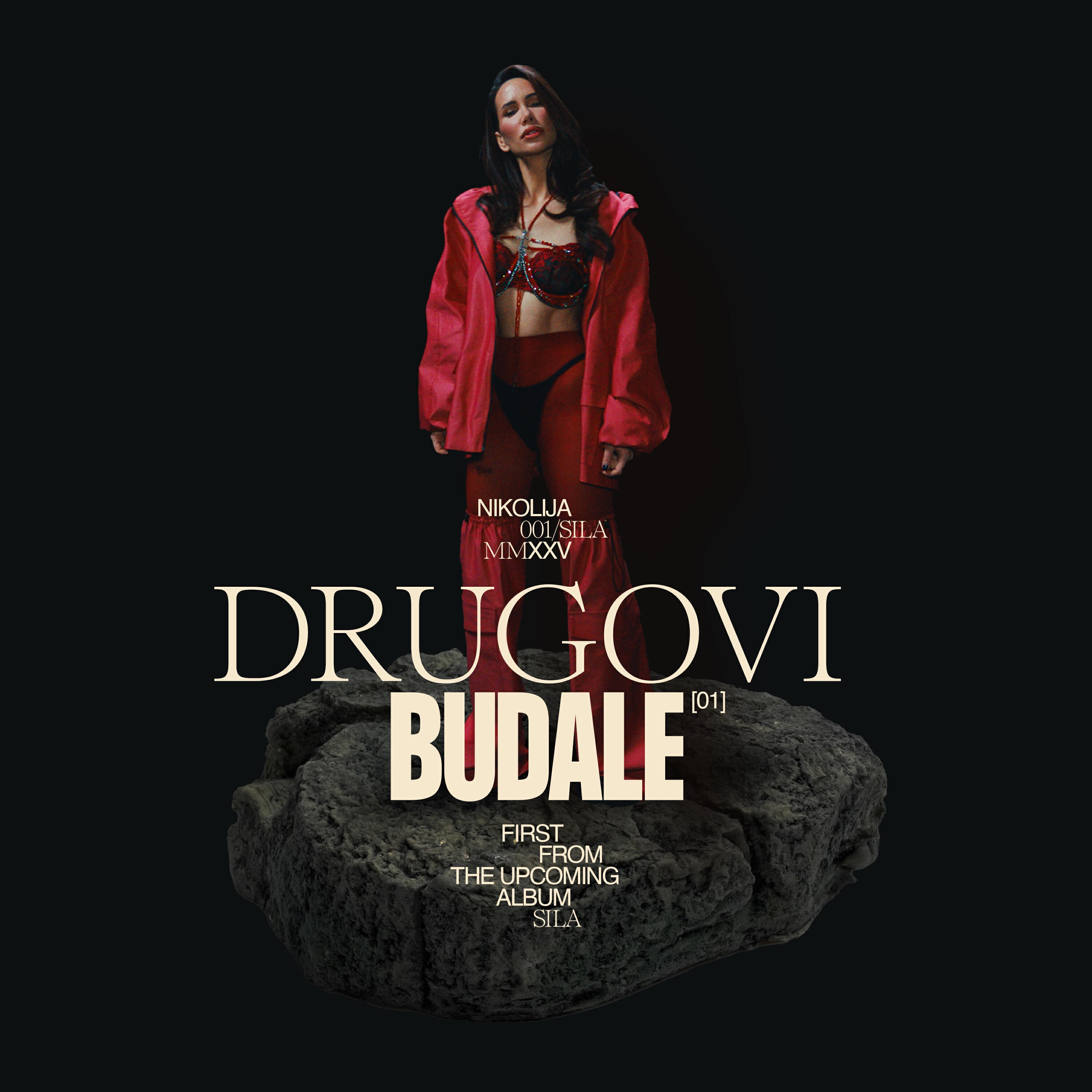 Релиз Drugovi Budale