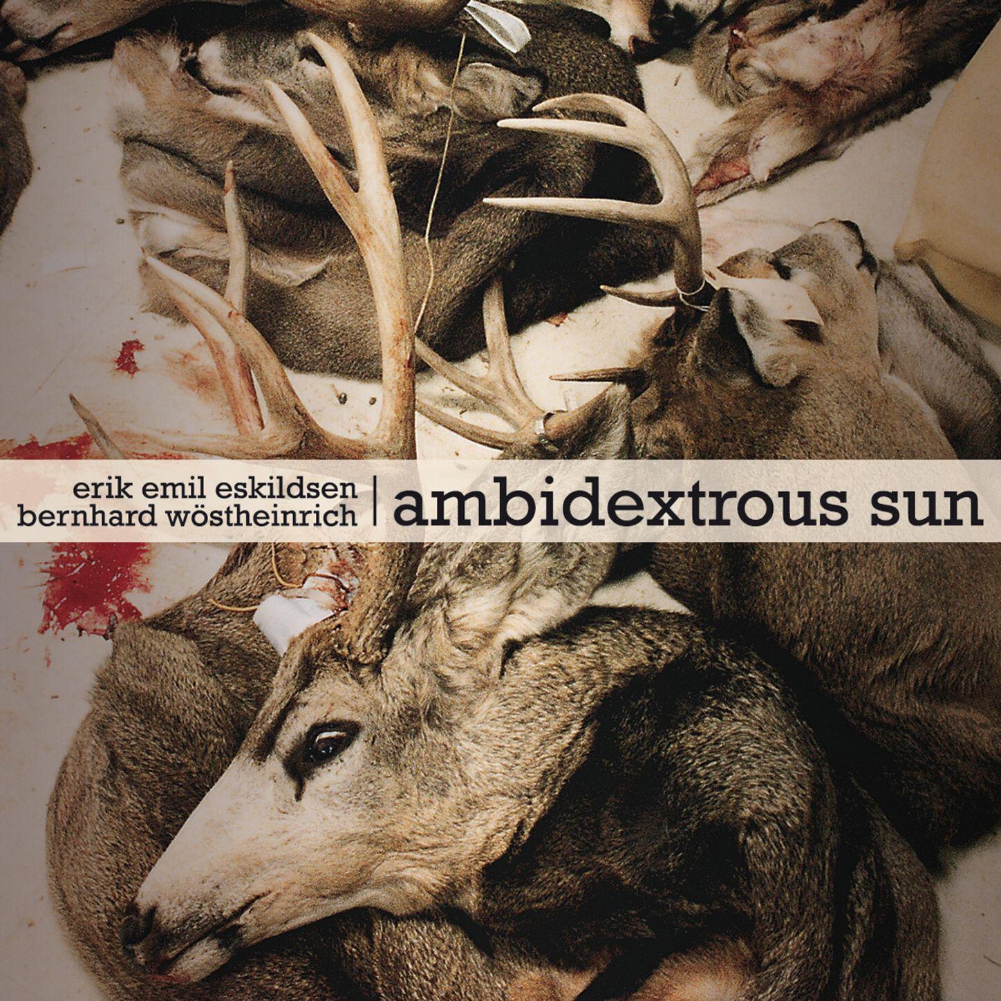 Релиз Ambidextrous Sun