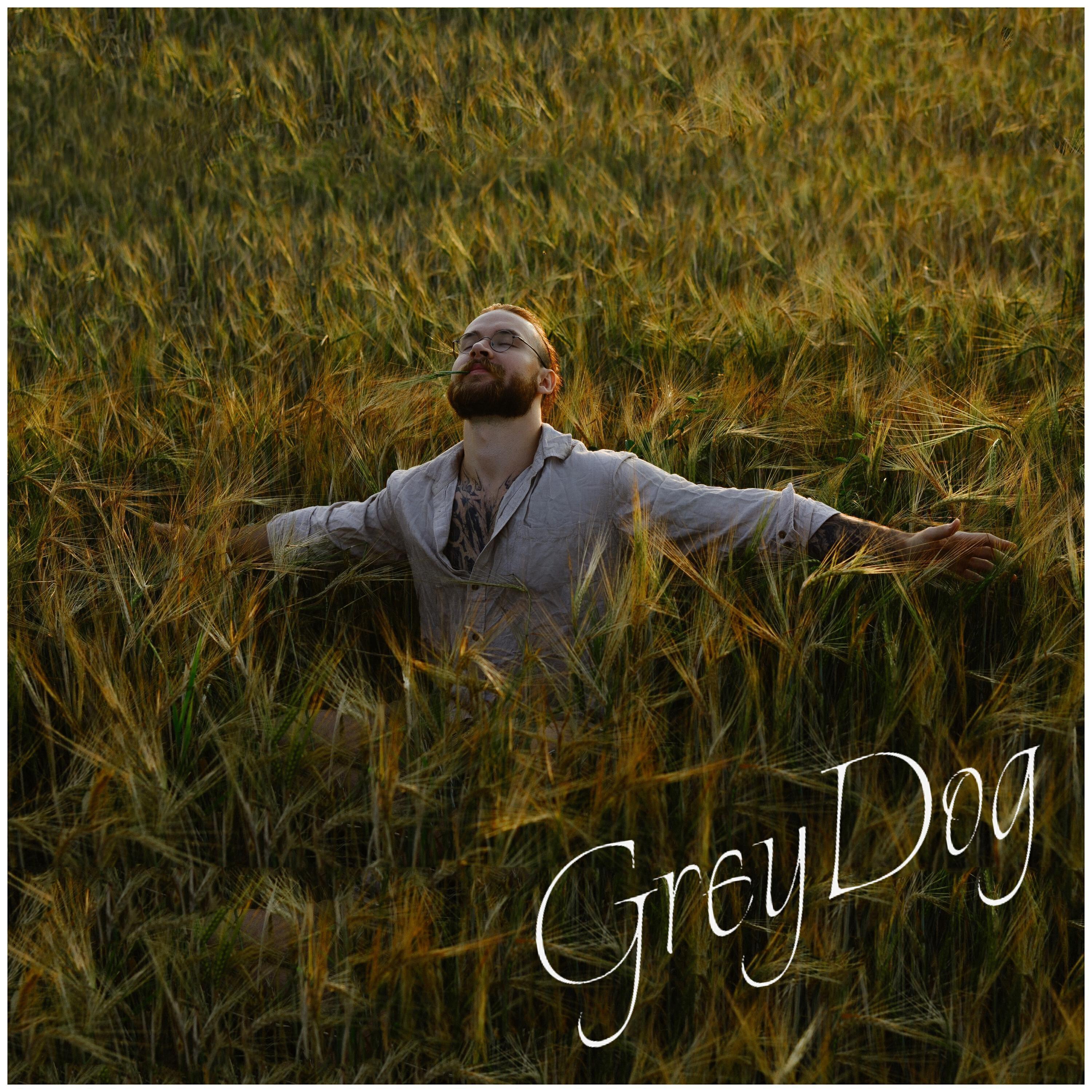 Grey Dog