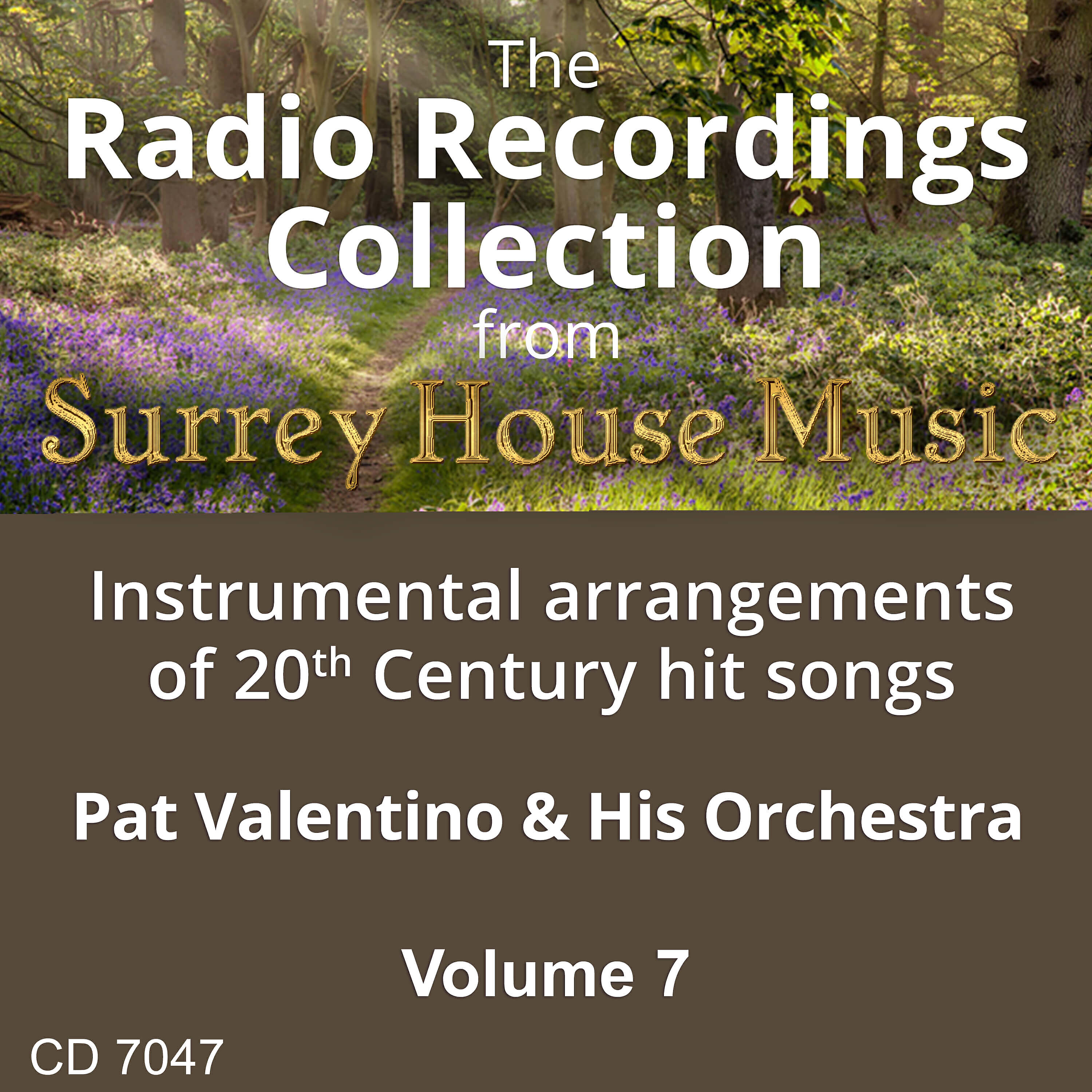 Релиз Pat Valentino & His Orchestra, Vol. 7