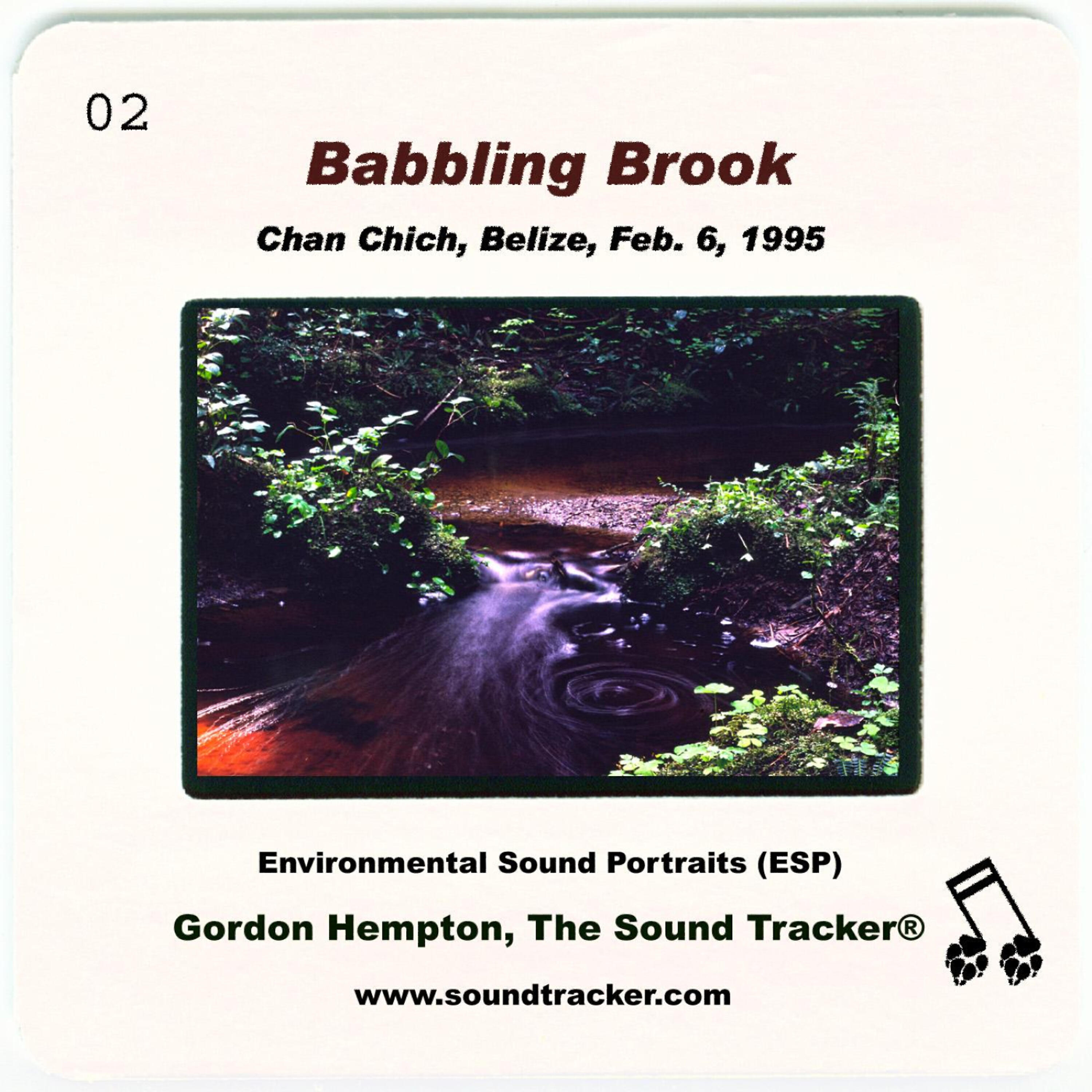 Релиз Babbling Brook