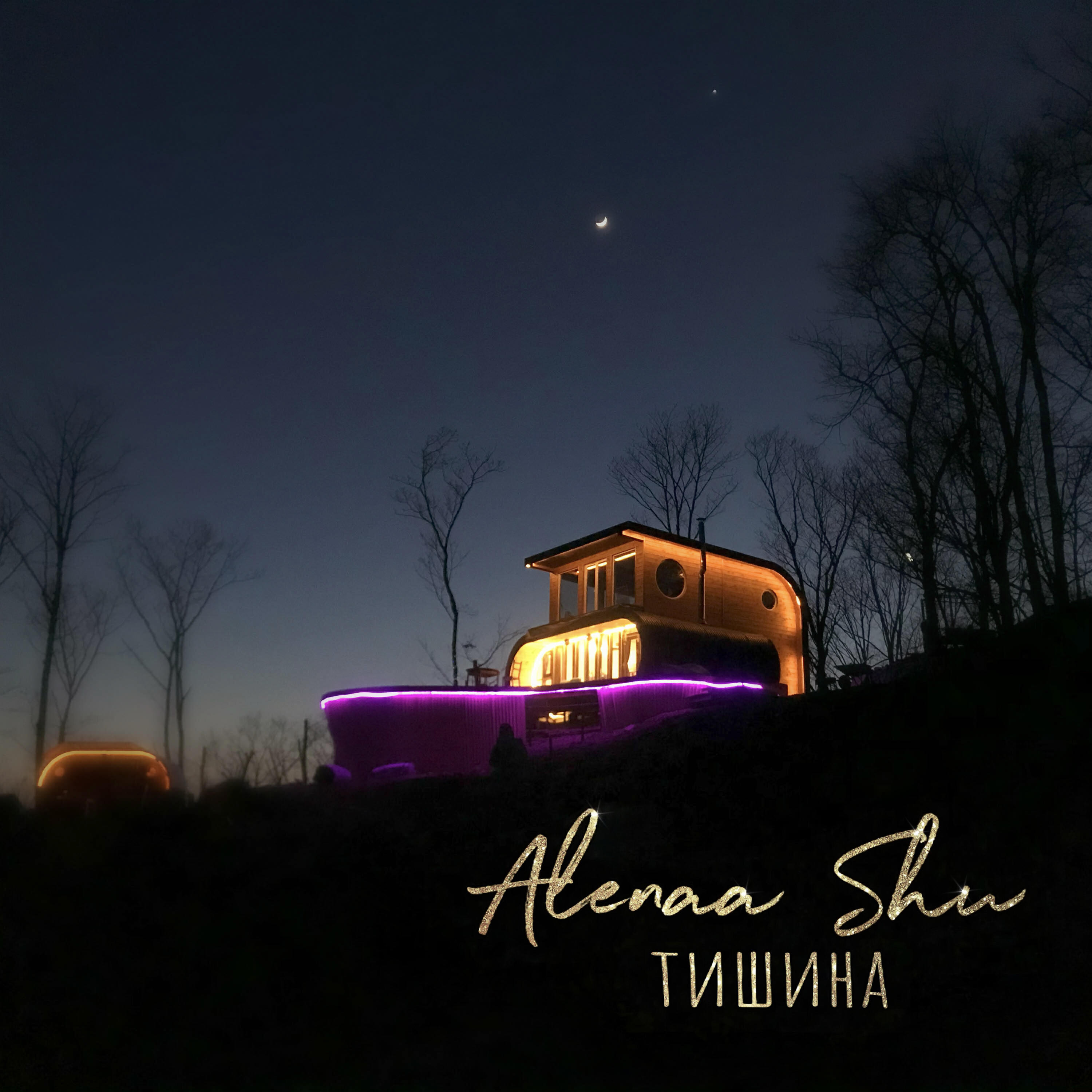 Релиз Тишина