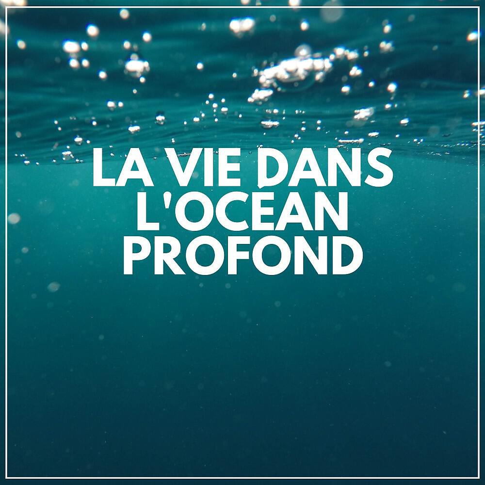 Релиз La Vie Dans L'océan Profond