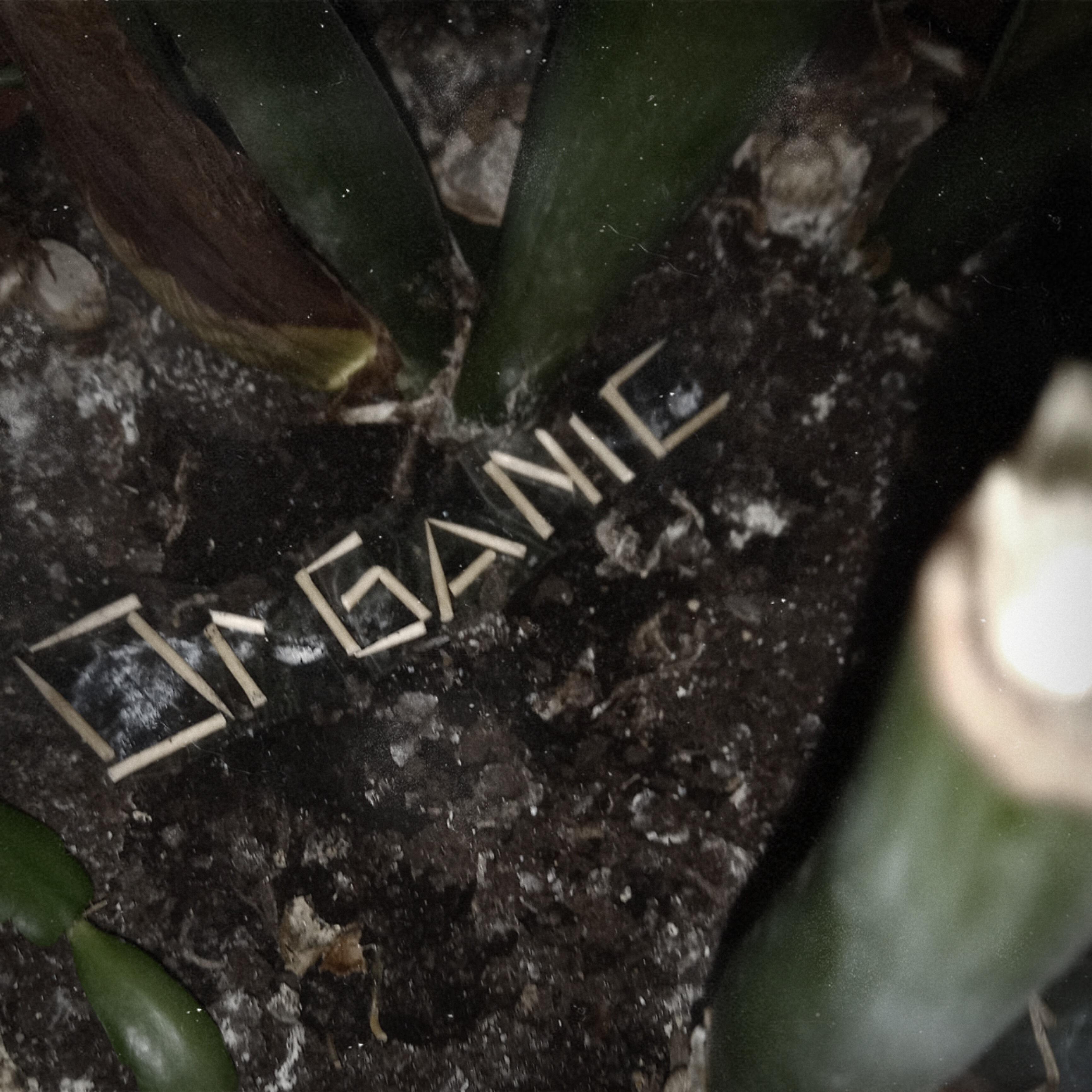 Релиз Organic
