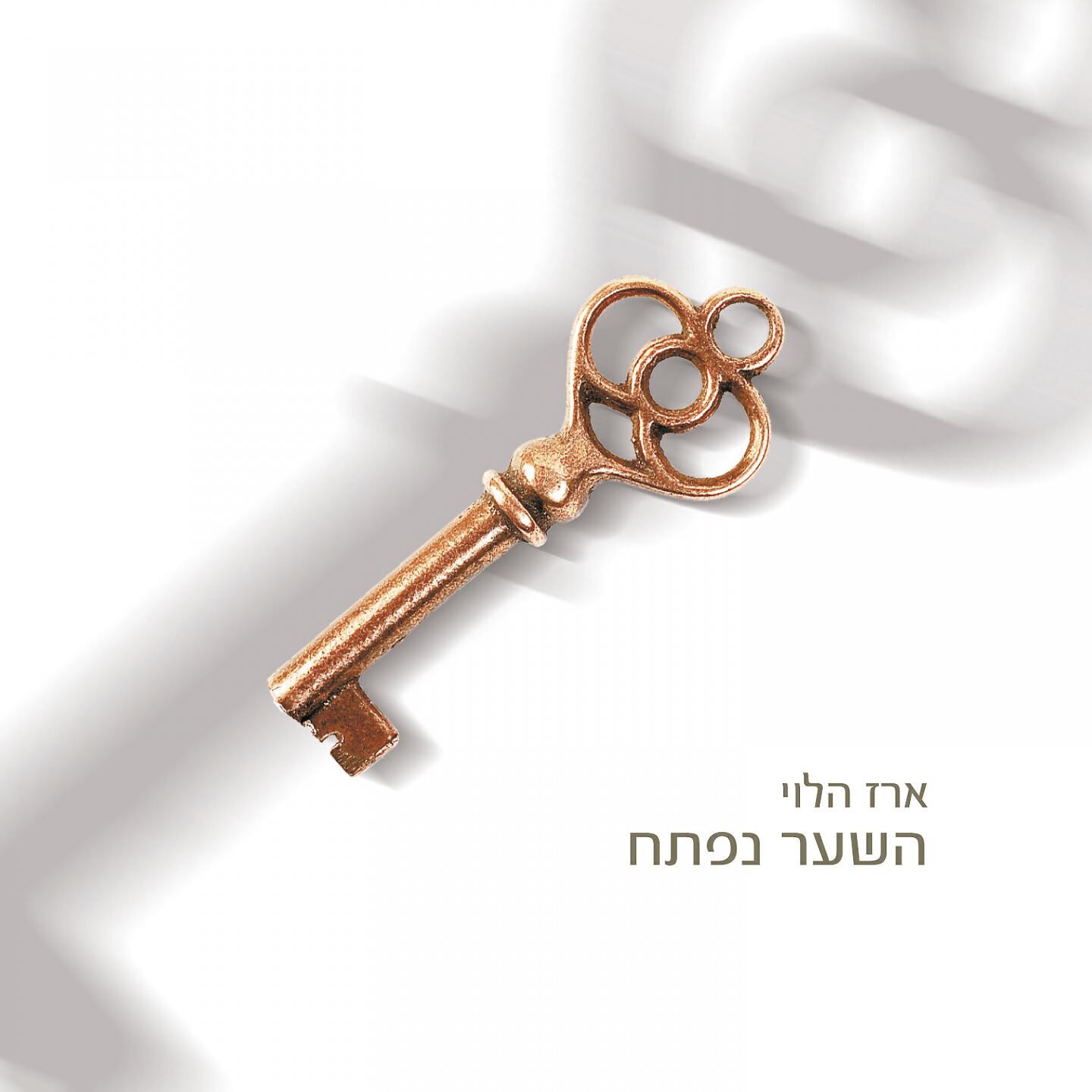 ארז הלוי