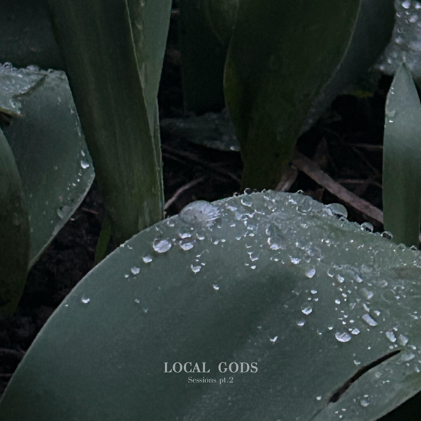 Релиз Local Gods Sessions, Pt. 2
