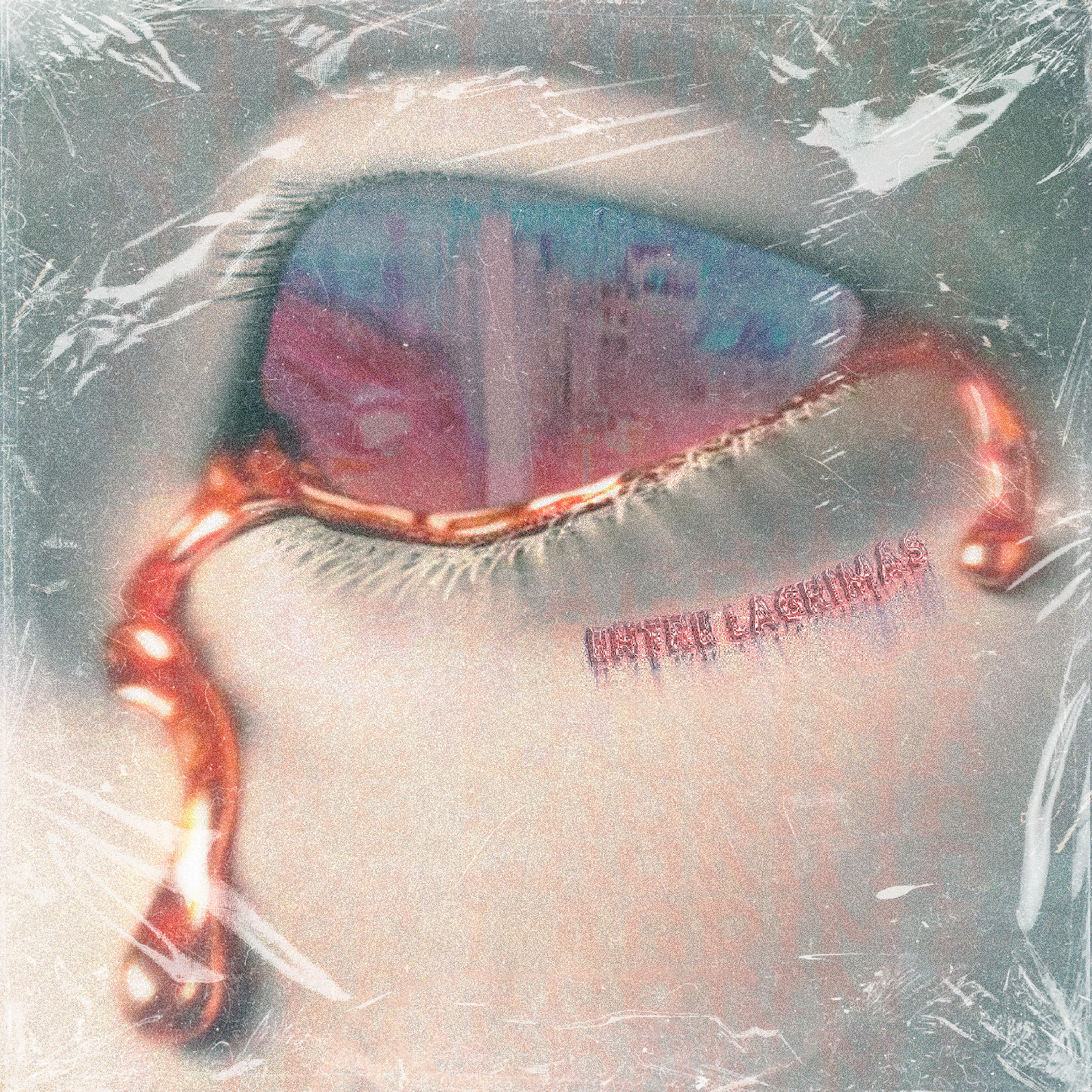 Релиз Entre Lagrimas