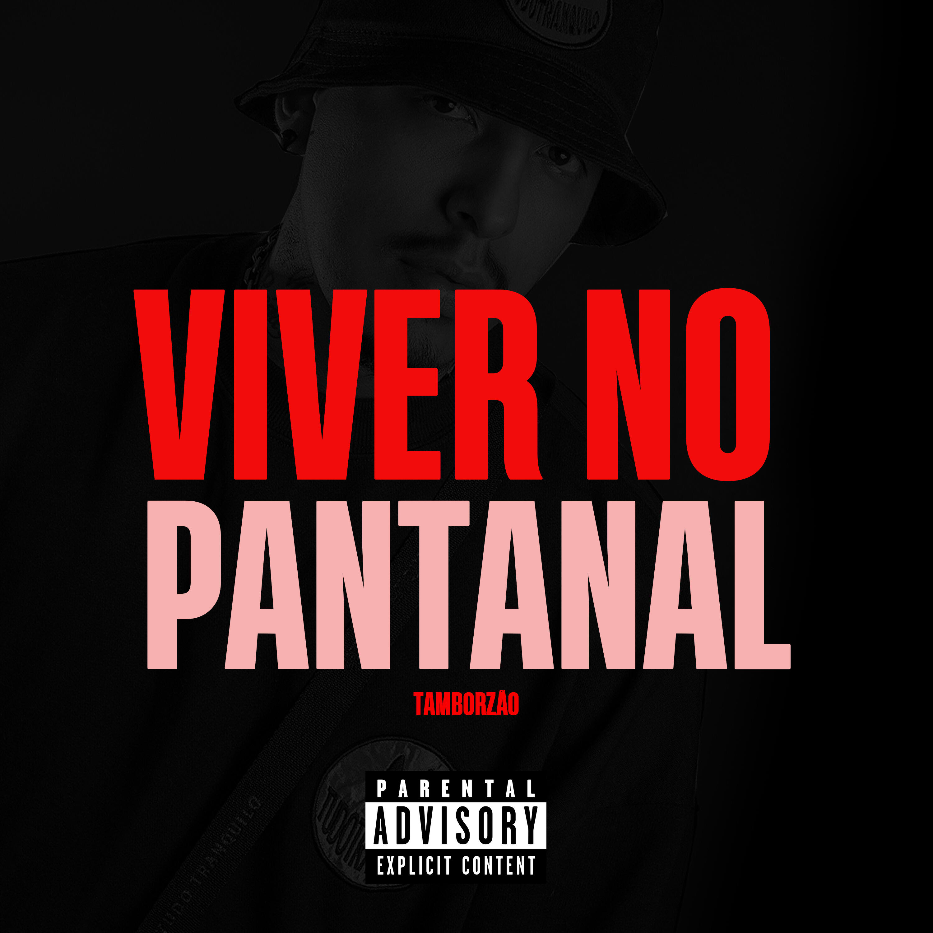 Релиз Viver no Pantanal