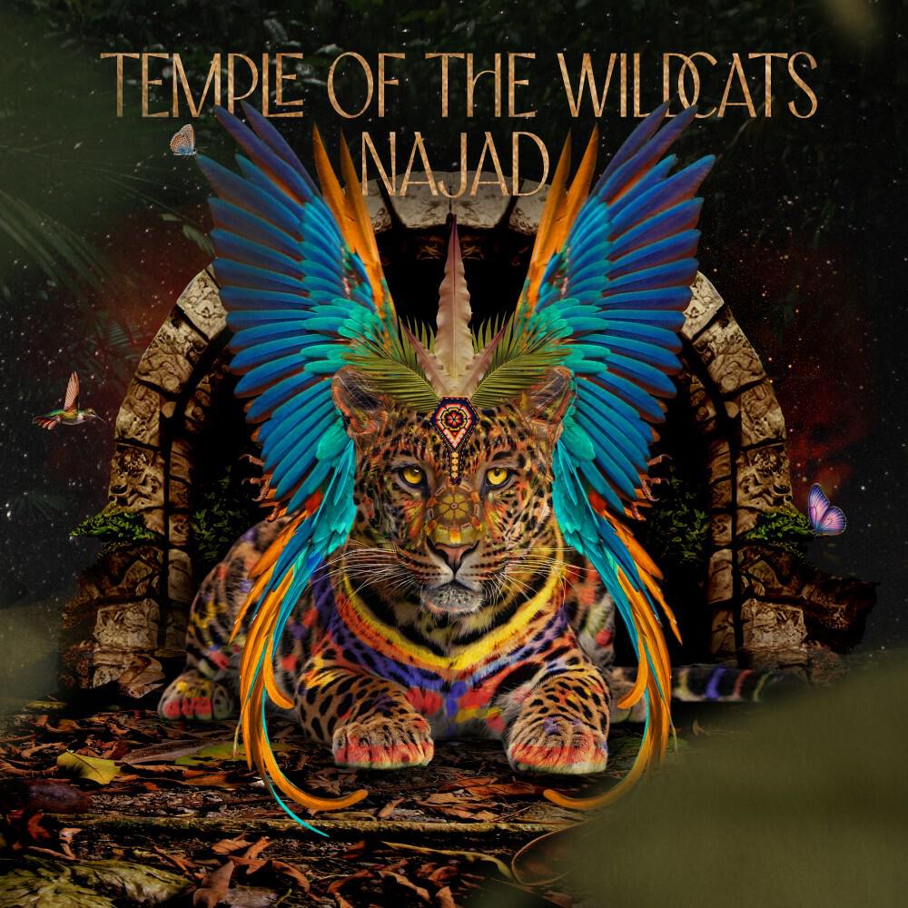 Релиз Temple of the Wildcats