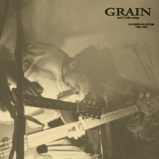 Релиз We'll Hide Away: Complete Recordings 1993-1995