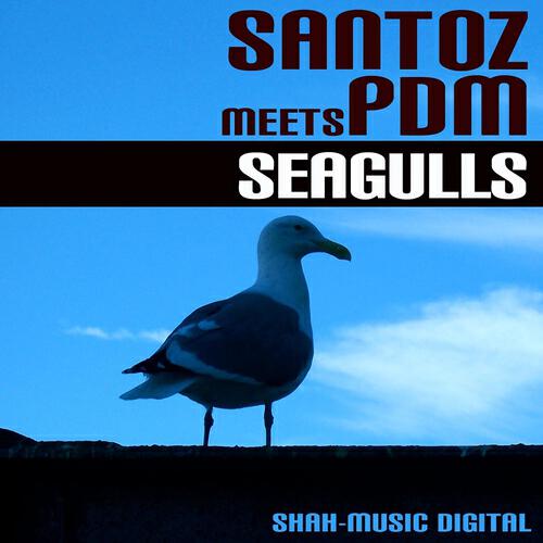 Релиз Seagulls