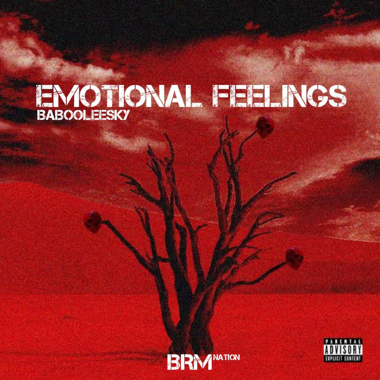 Релиз EMOTIONAL FEELINGS